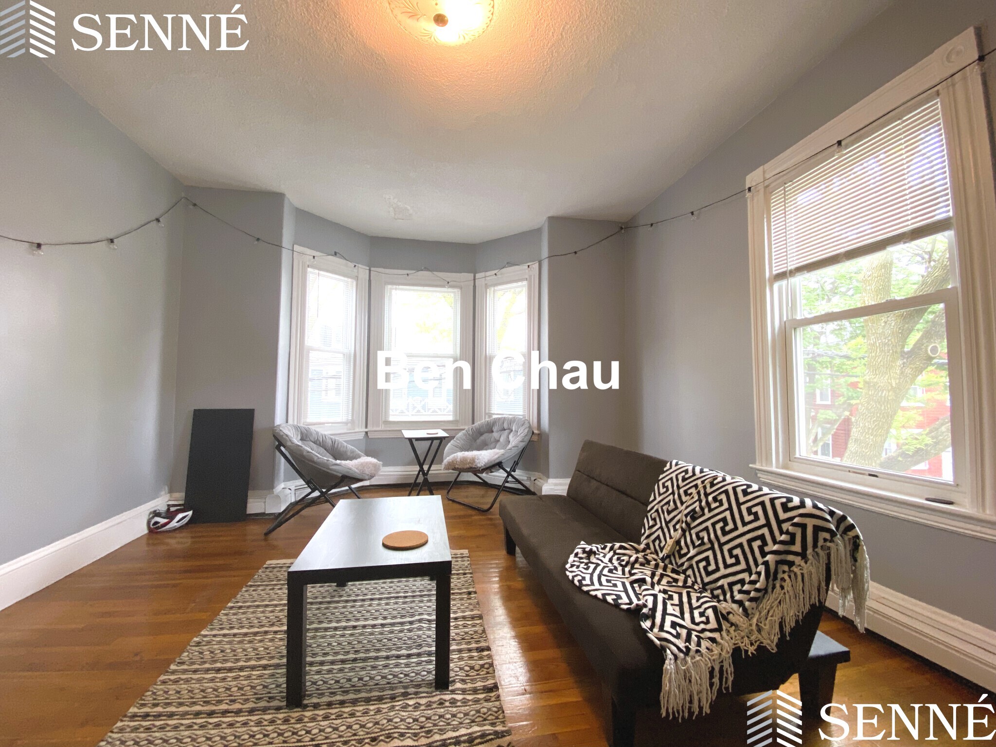 394 Windsor St, Wellington-Harrington