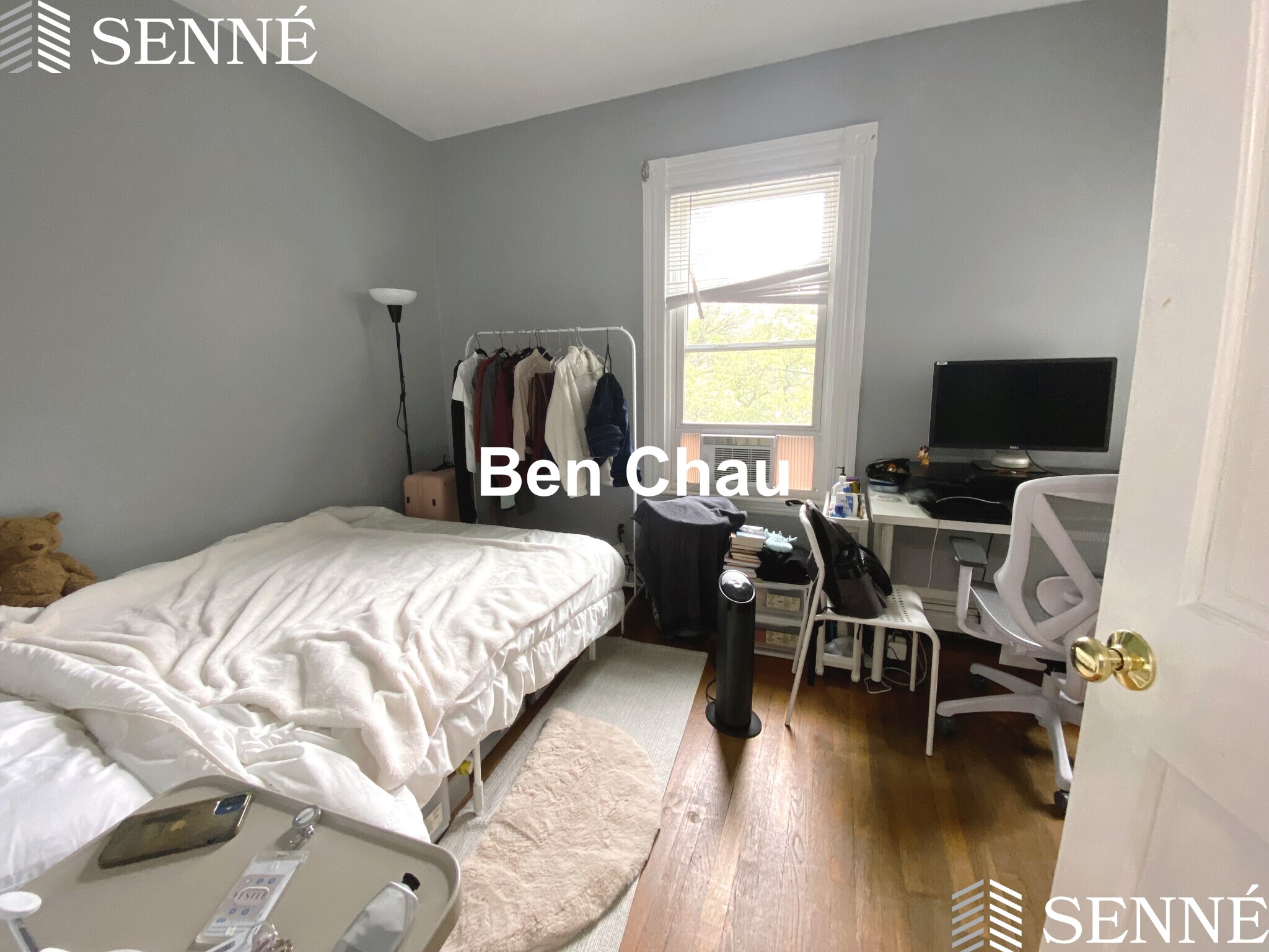 394 Windsor St, Wellington-Harrington