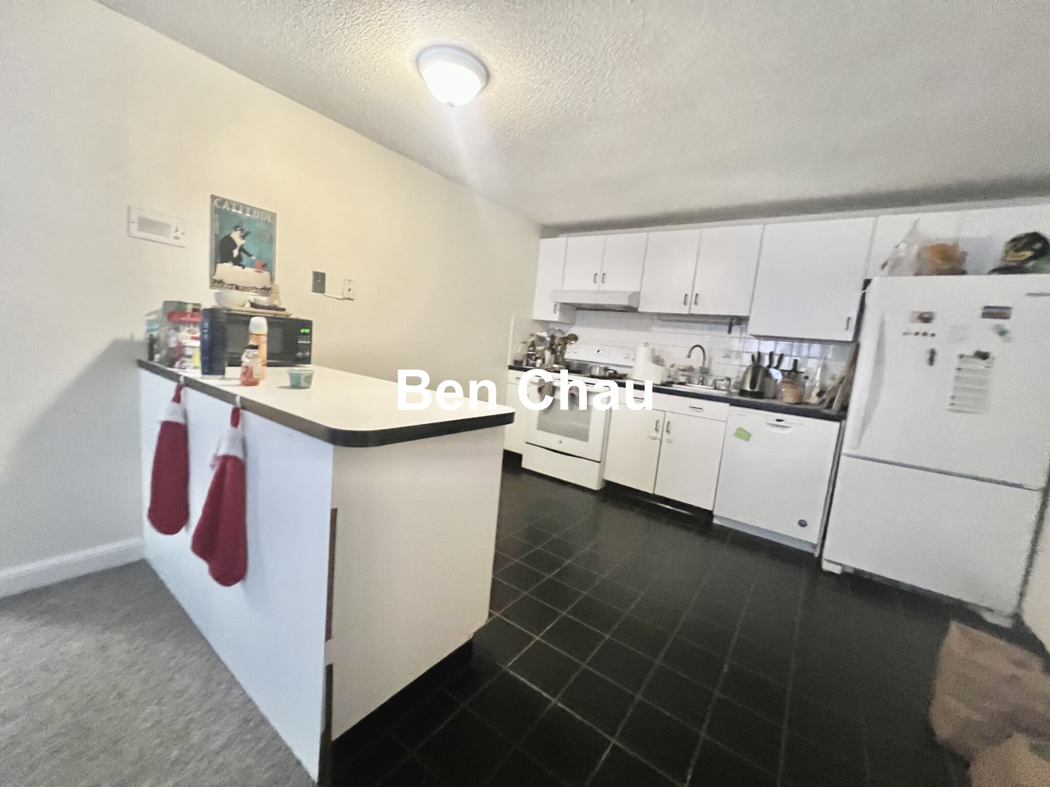 94 Beacon St, Ward Two