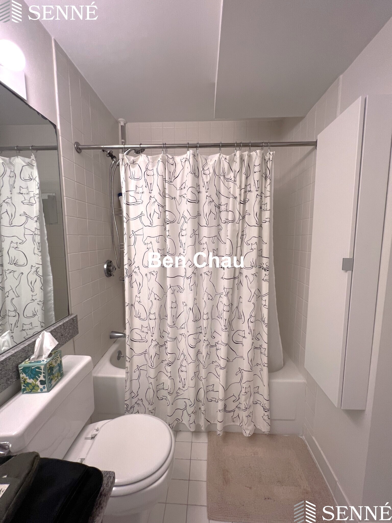 2 Chestnut St, Cambridgeport