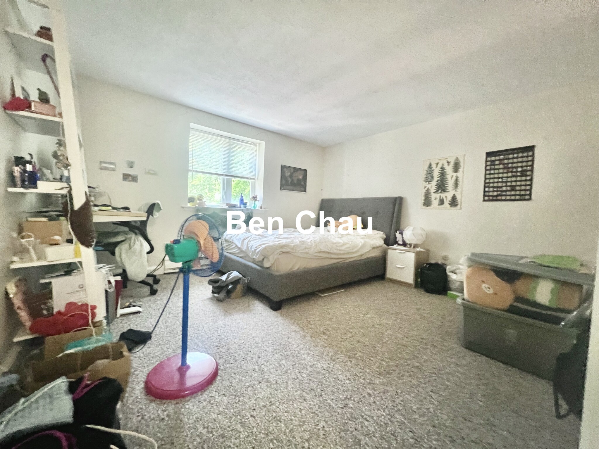 https://ygl-photos.s3.us-west-004.backblazeb2.com/11839W683e03ffc8e4f.jpg