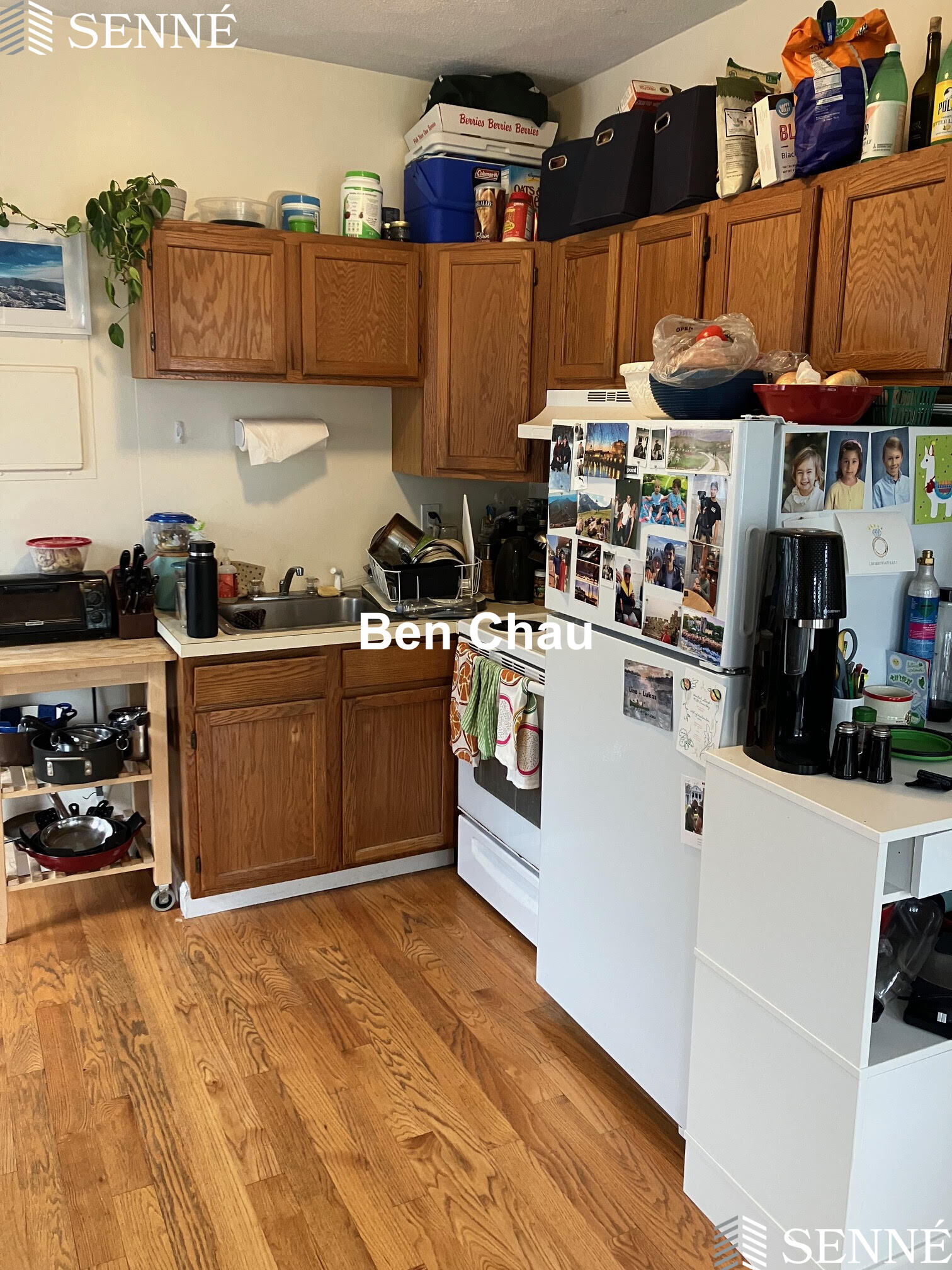 https://ygl-photos.s3.us-west-004.backblazeb2.com/11839W6848b1f5a5ad0.jpg