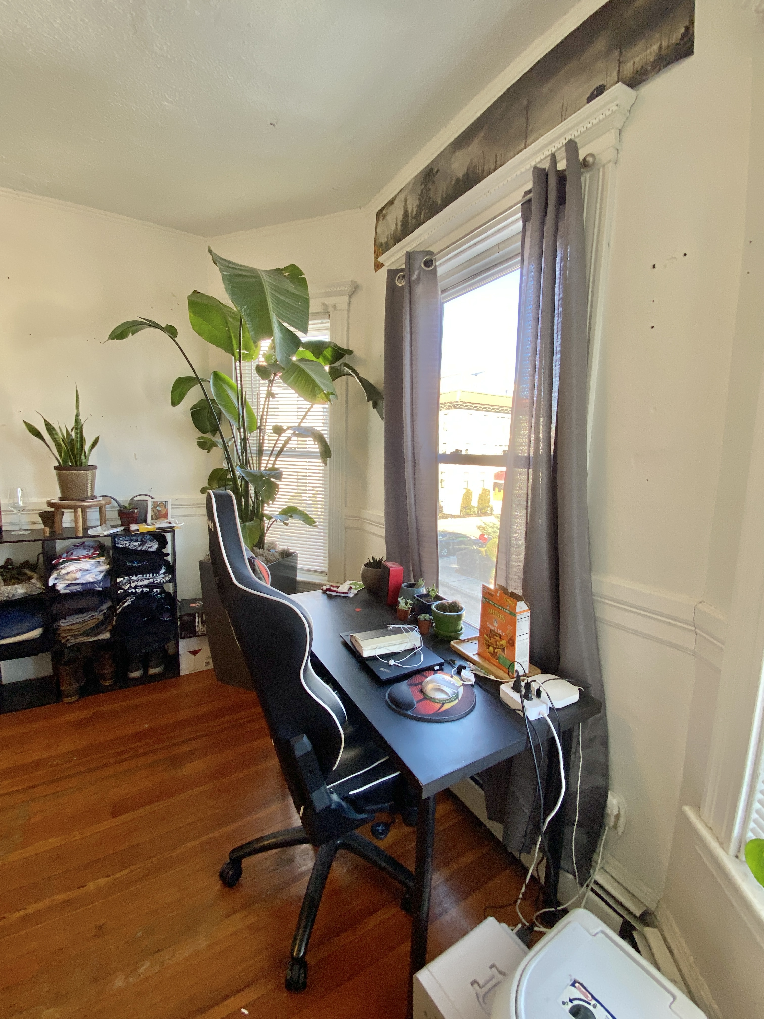 4 bed, 2 bath apartment for rent at 34 Brainerd Rd Unit 1, Allston — photo 65 of 66