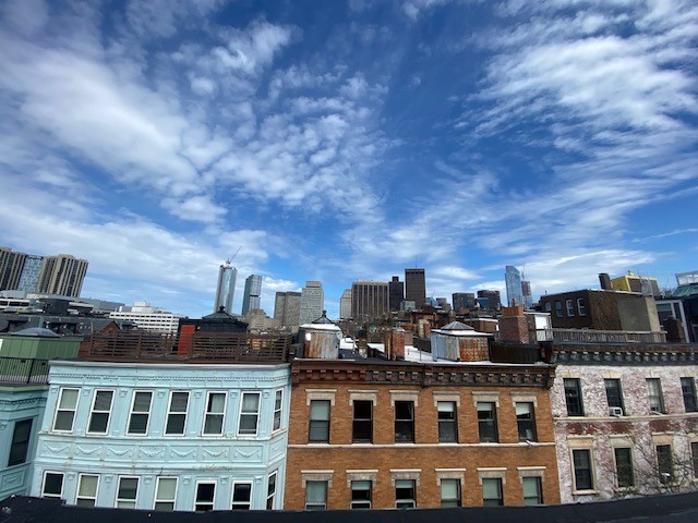 35 Grove St, Beacon Hill