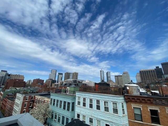 35 Grove St, Beacon Hill