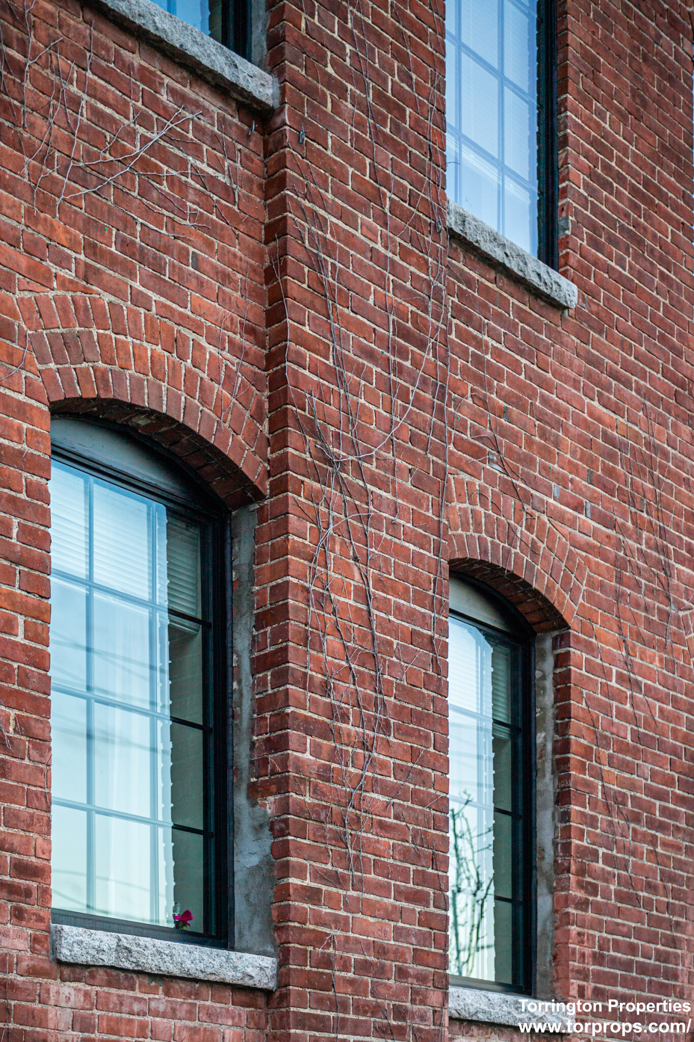 129 Guild St, Norwood