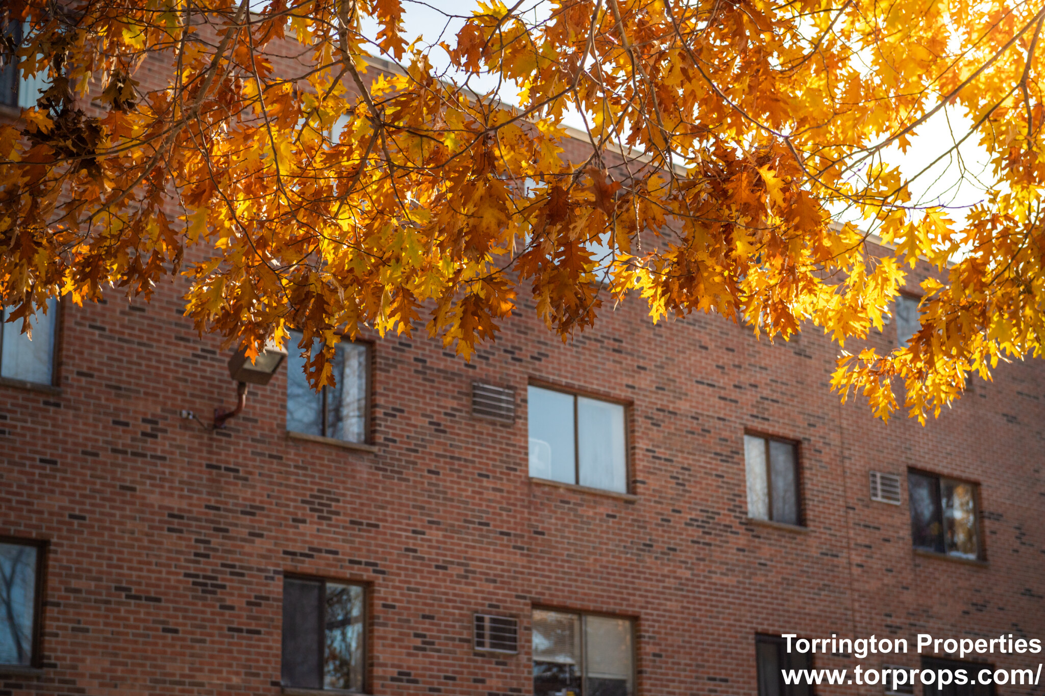 253 Hyde Park Ave, South Boston