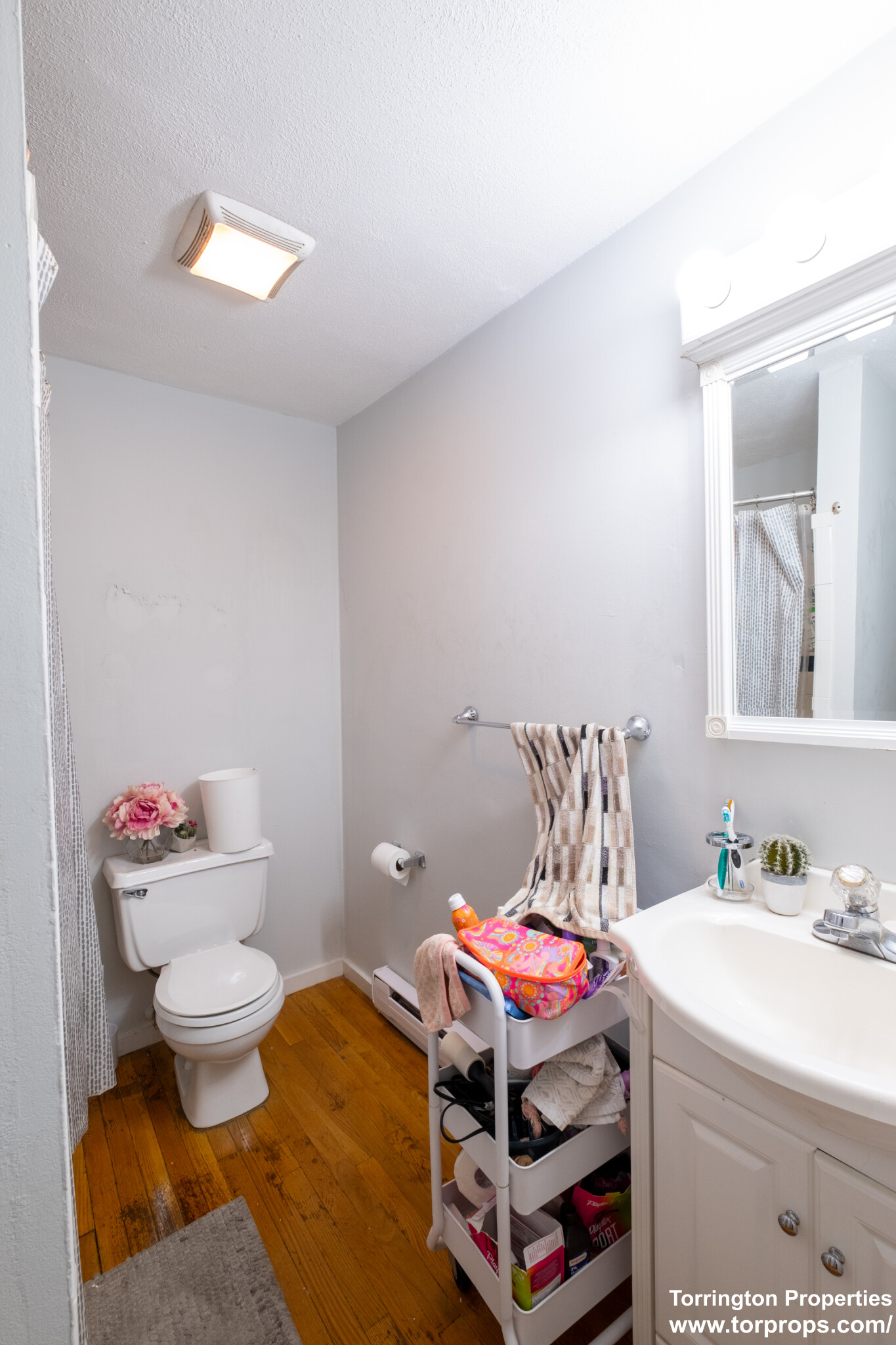 4 Schrepel Pl, South Boston