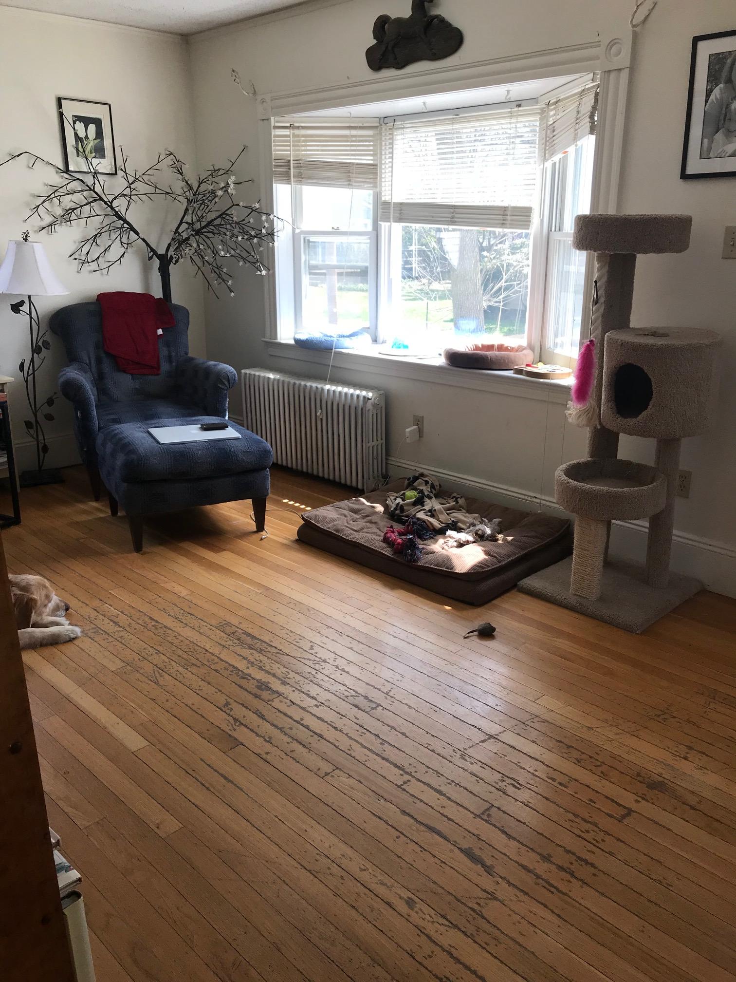 49 Jerome Ave, West Newton