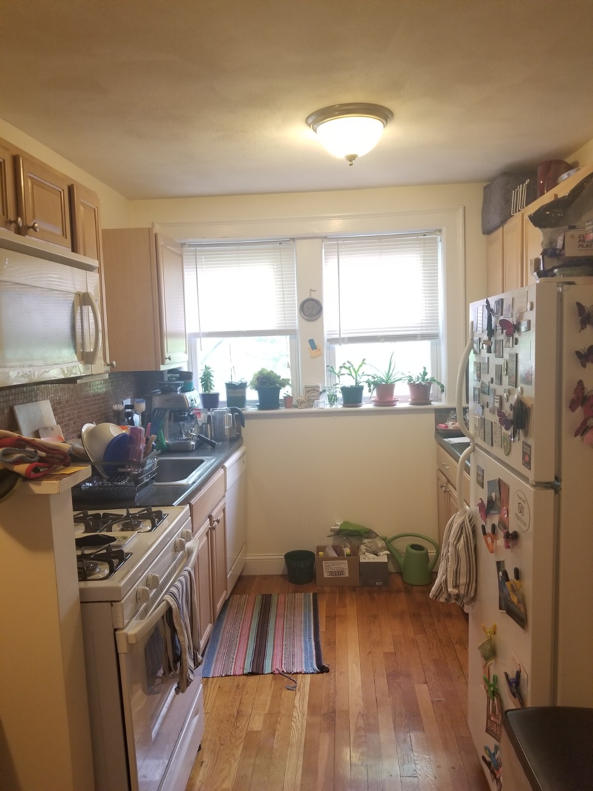 38 Day St, Davis Square