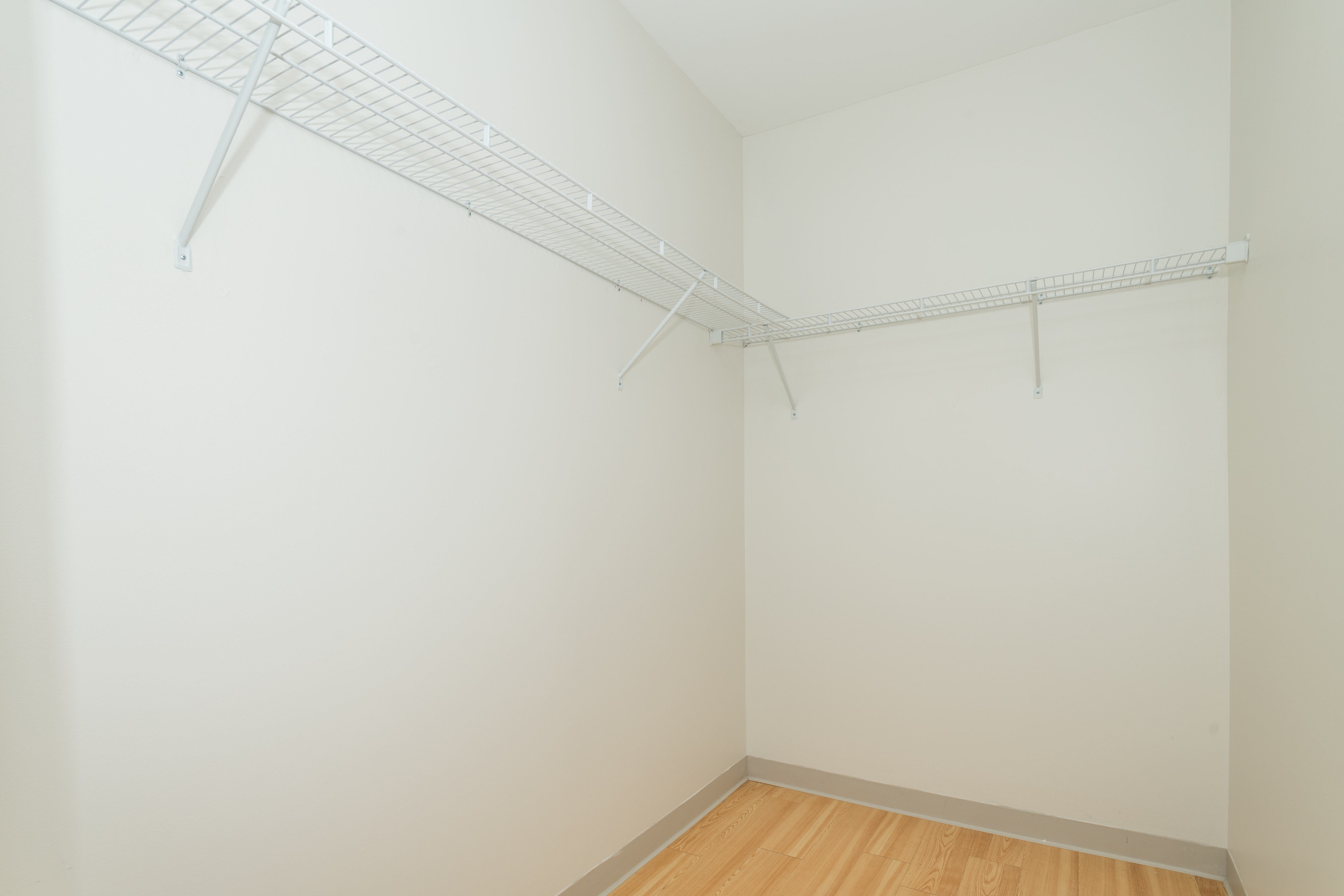 1 bed, 1 bath apartment for rent at 320 D St Unit 250, South Boston — photo 9 of 10