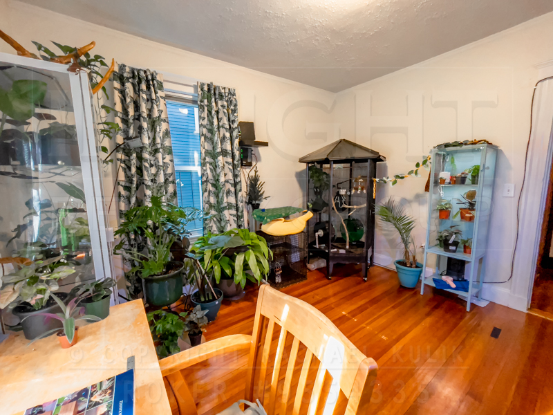 8 Parkton Rd, Jamaica Plain