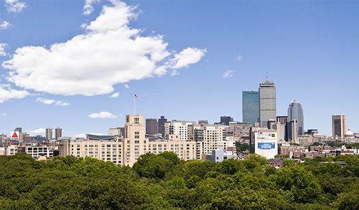 20 Chapel St, Longwood