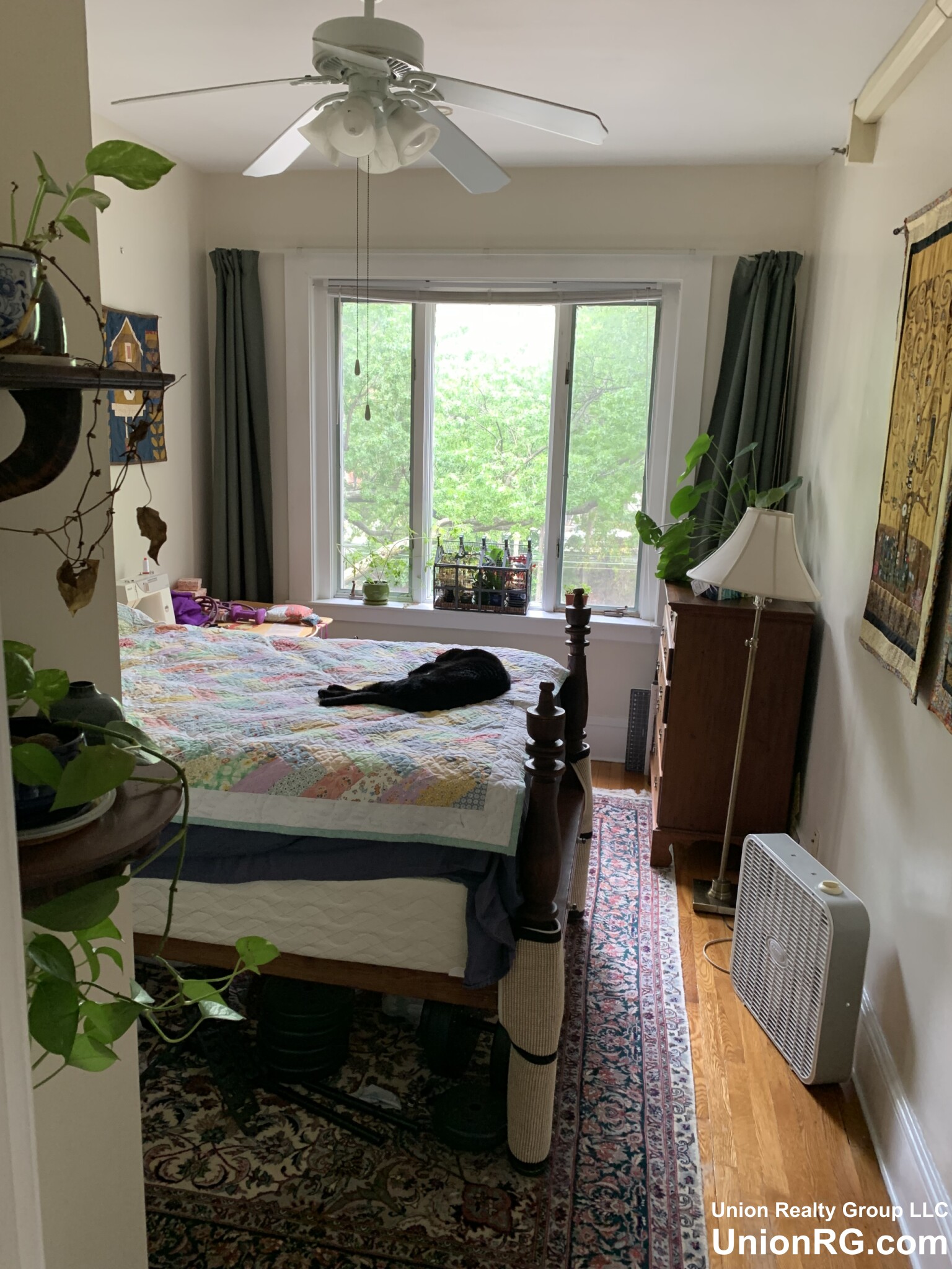 2 bed, 1 bath apartment for rent at 1477 Beacon St Unit 40, Coolidge Corner — photo 6 of 12
