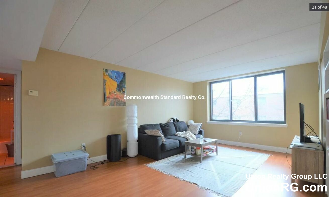 2 bed, 2 bath apartment for rent at 85 Brainerd Rd Unit 31, Allston — photo 4 of 11