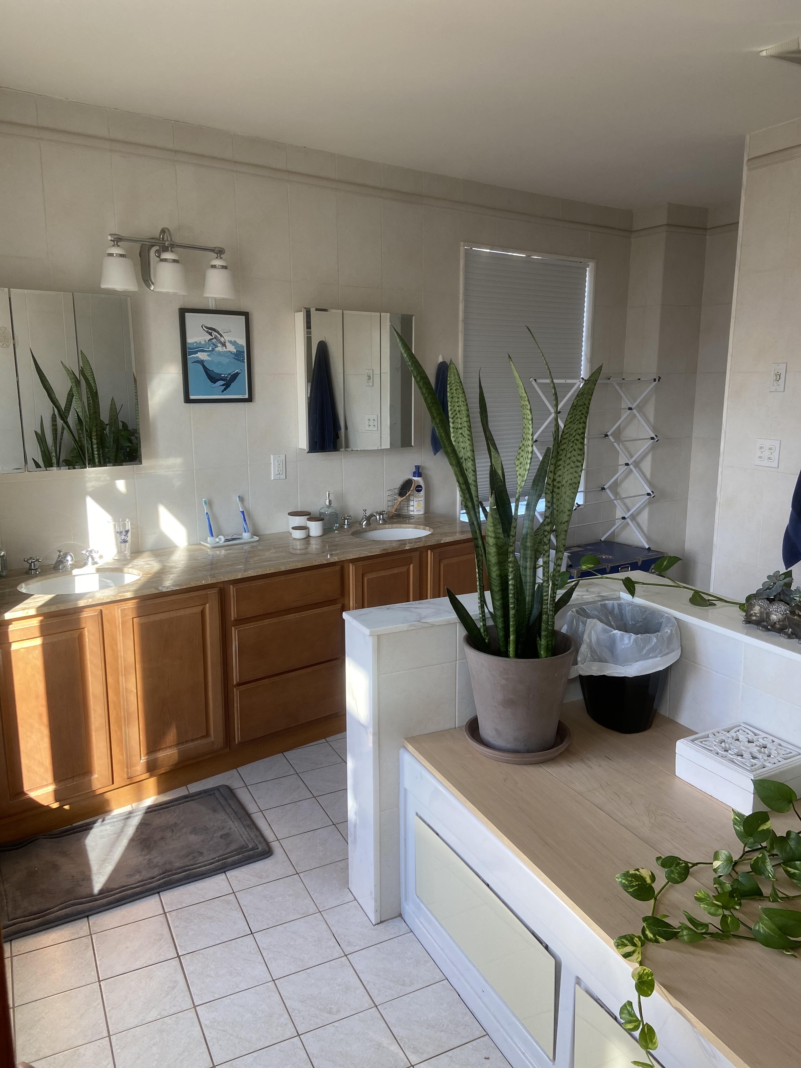 2 bed, 2 bath apartment for rent at 2443 Massachusetts Ave Unit 13, North Cambridge — photo 2 of 15