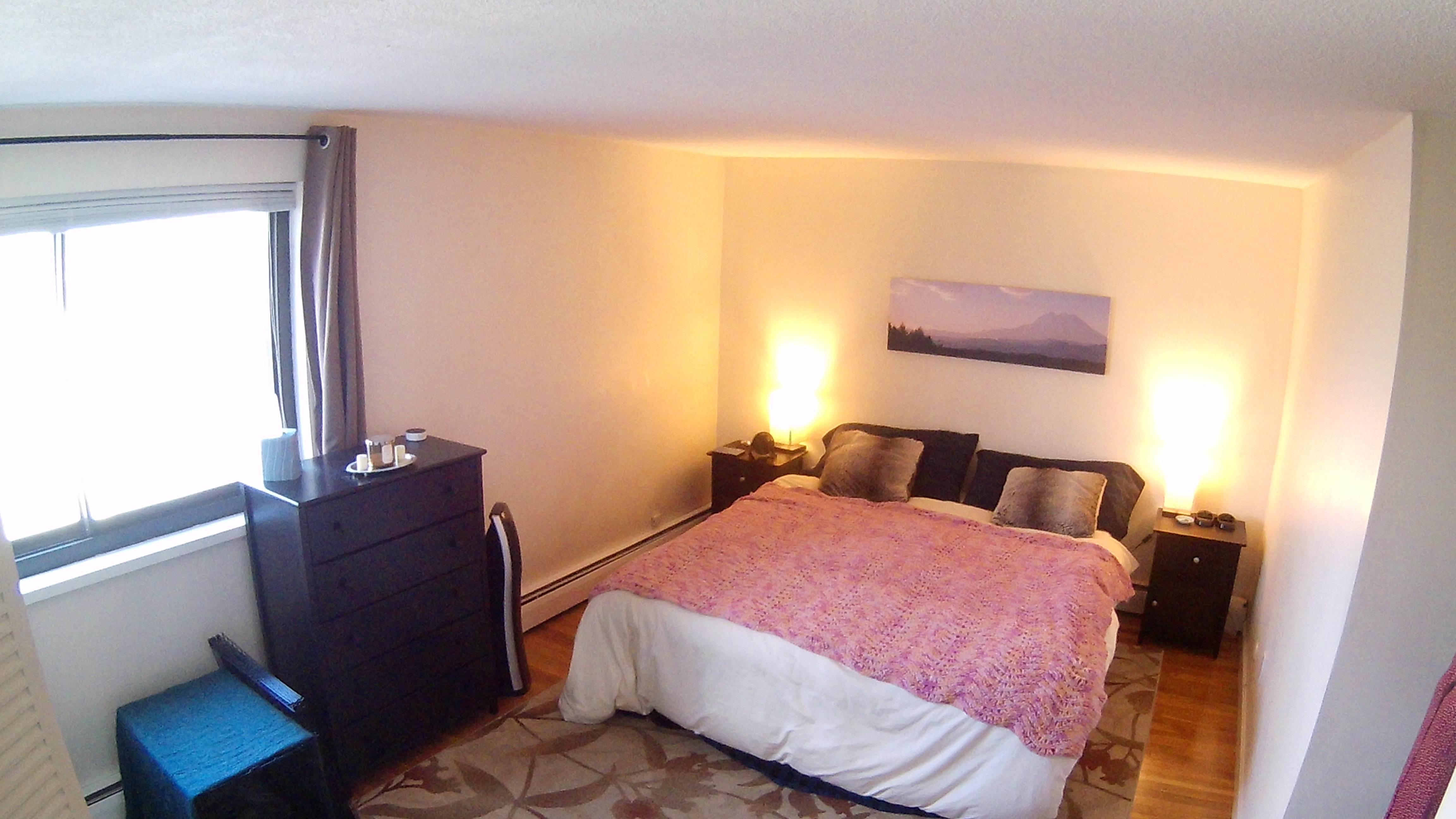 2 bed, 1 bath apartment for rent at 77 Trowbridge St Unit 65, Mid Cambridge — photo 6 of 13
