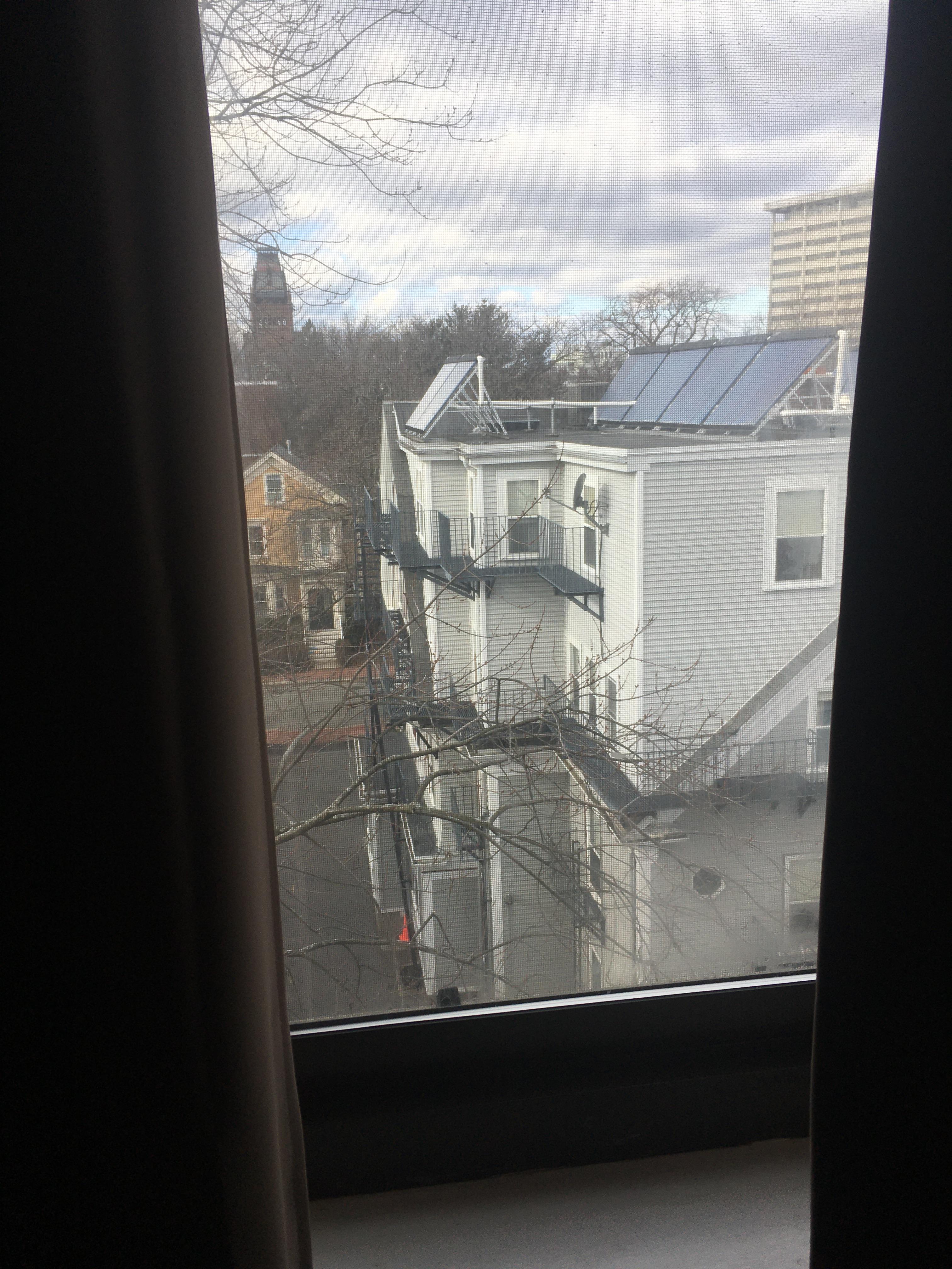 2 bed, 1 bath apartment for rent at 77 Trowbridge St Unit 65, Mid Cambridge — photo 10 of 13