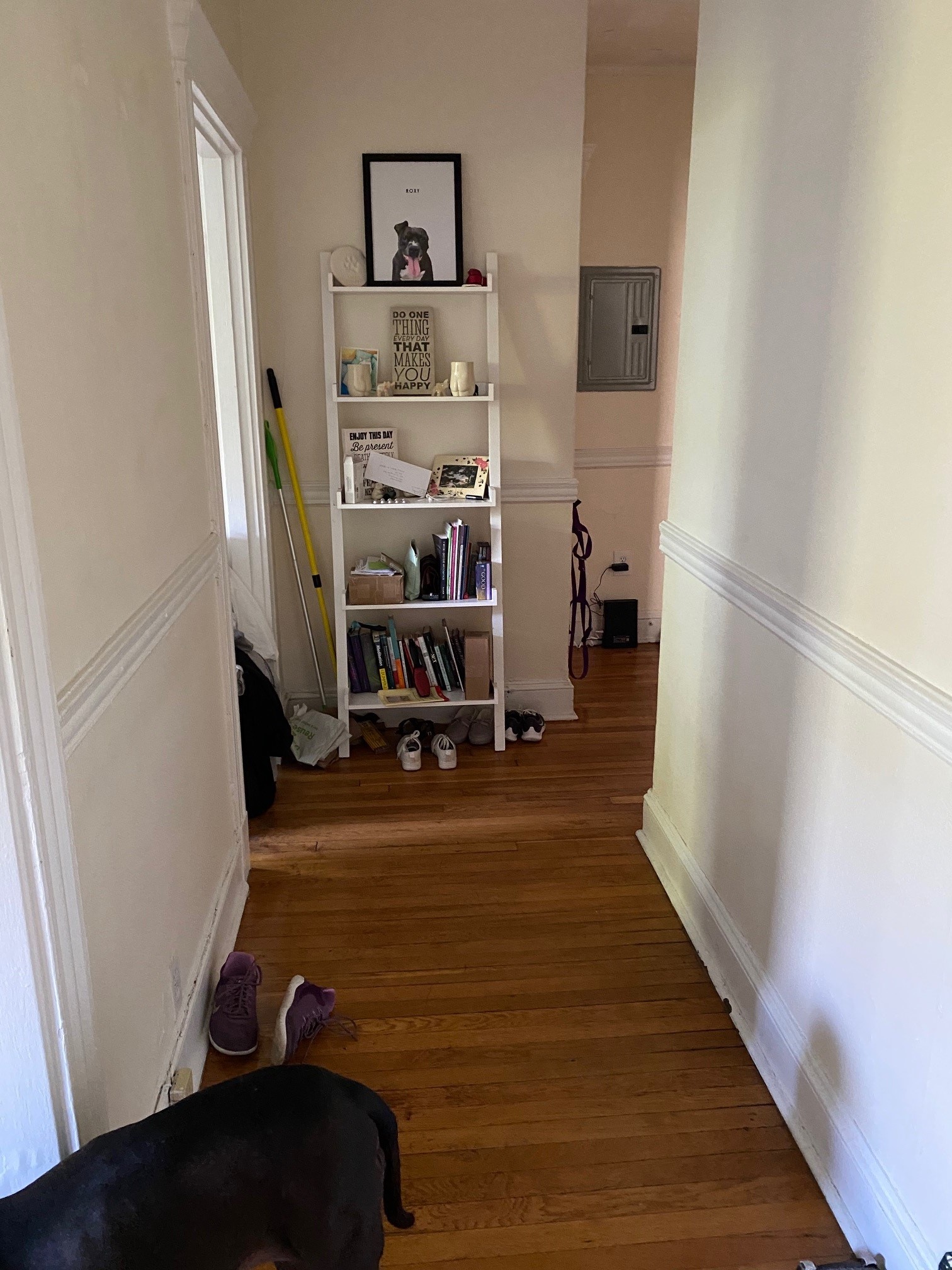 364 Riverway, Mission Hill