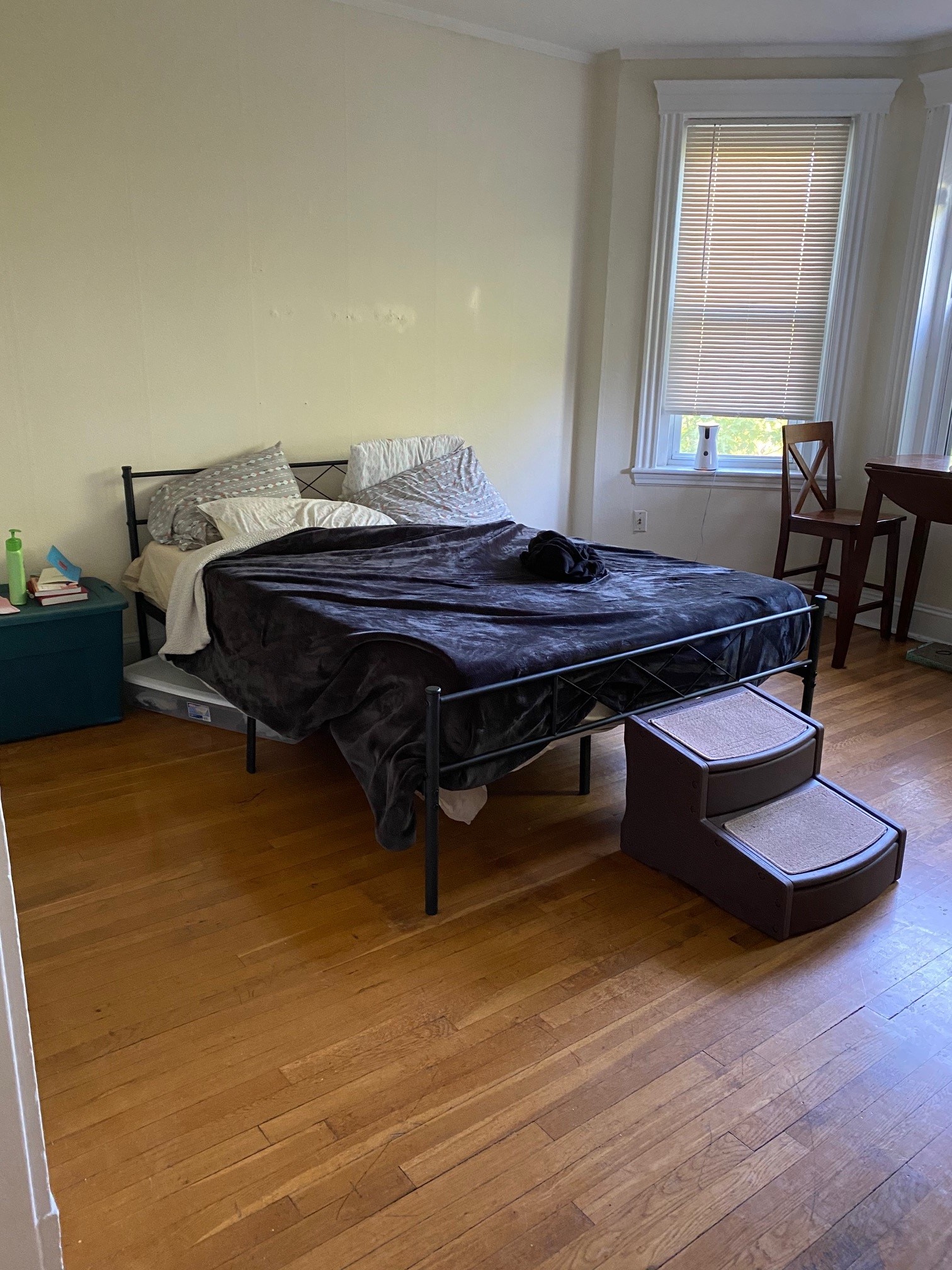 364 Riverway, Mission Hill