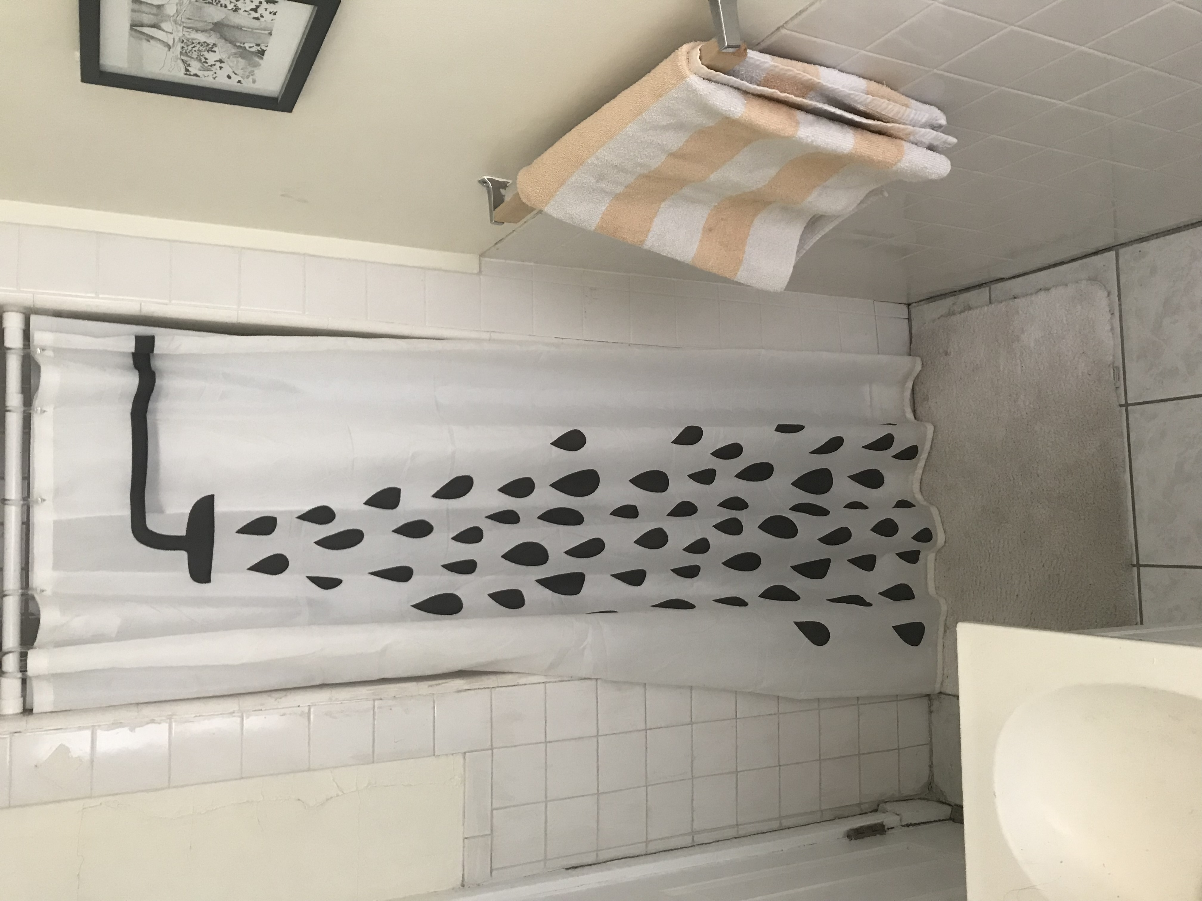Studio bed, 1 bath apartment for rent at 279 Harvard St Unit 23, Mid Cambridge — photo 7 of 8