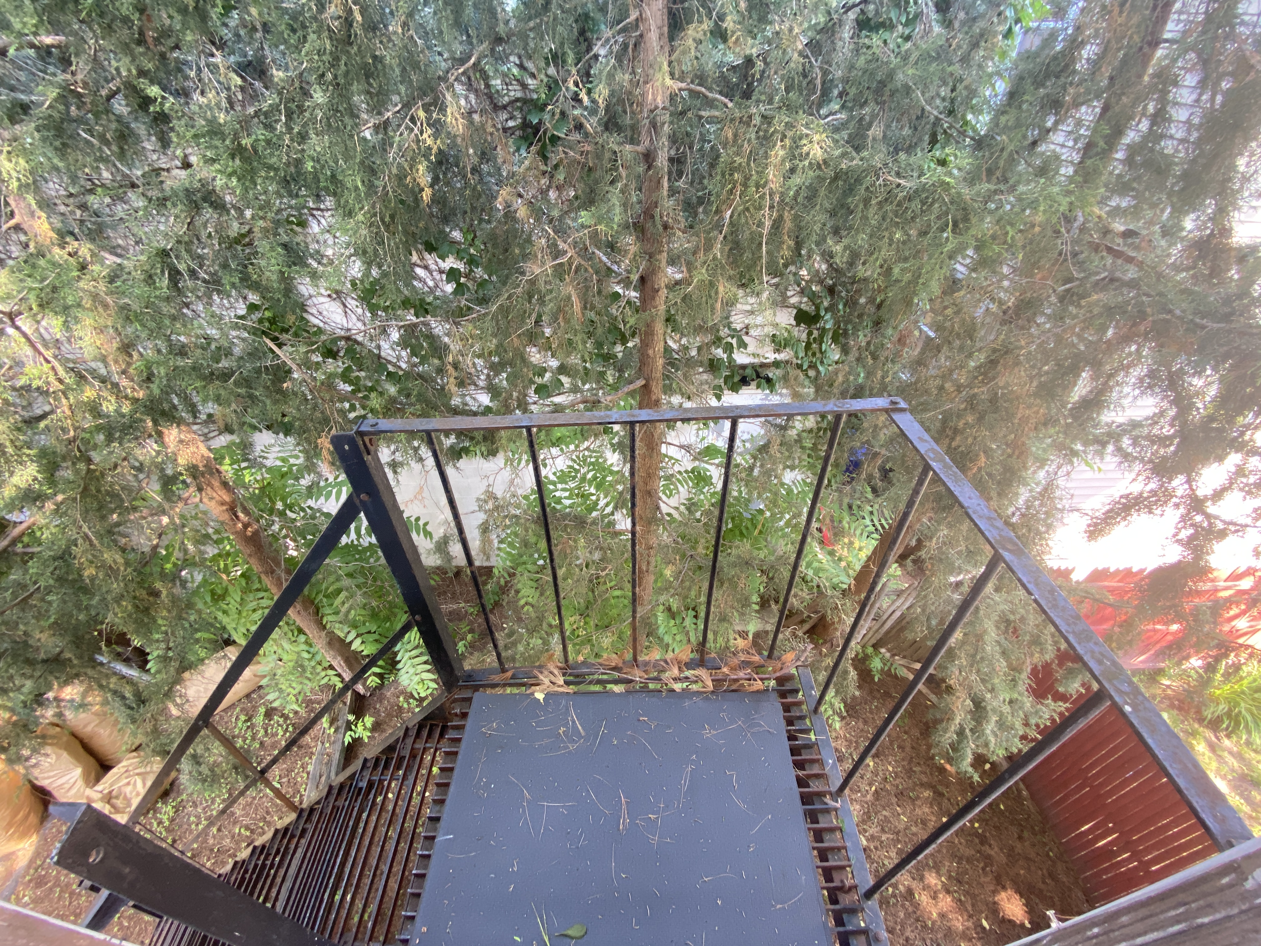 259 Beacon St, East Somerville