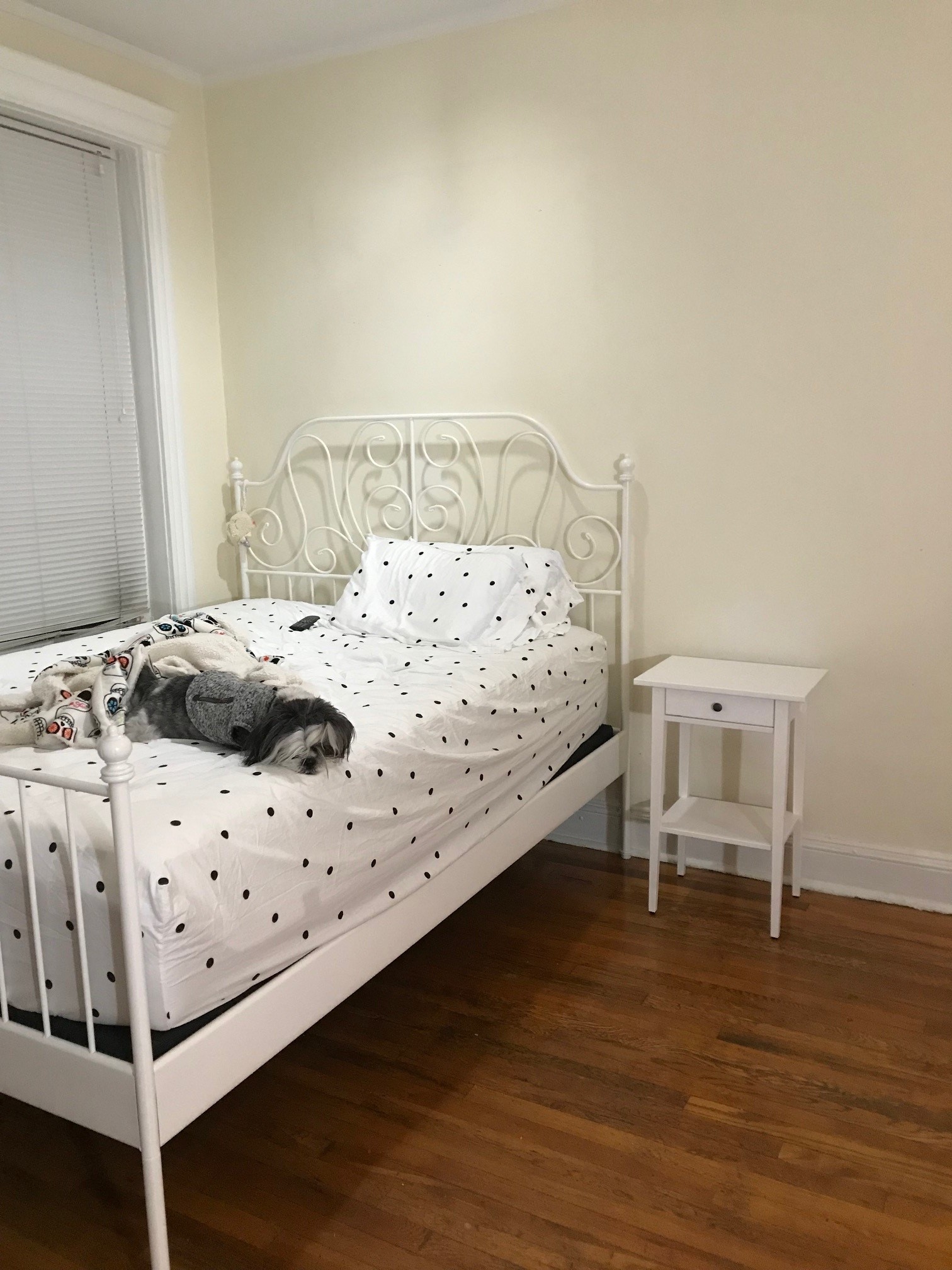 364 Riverway, Mission Hill