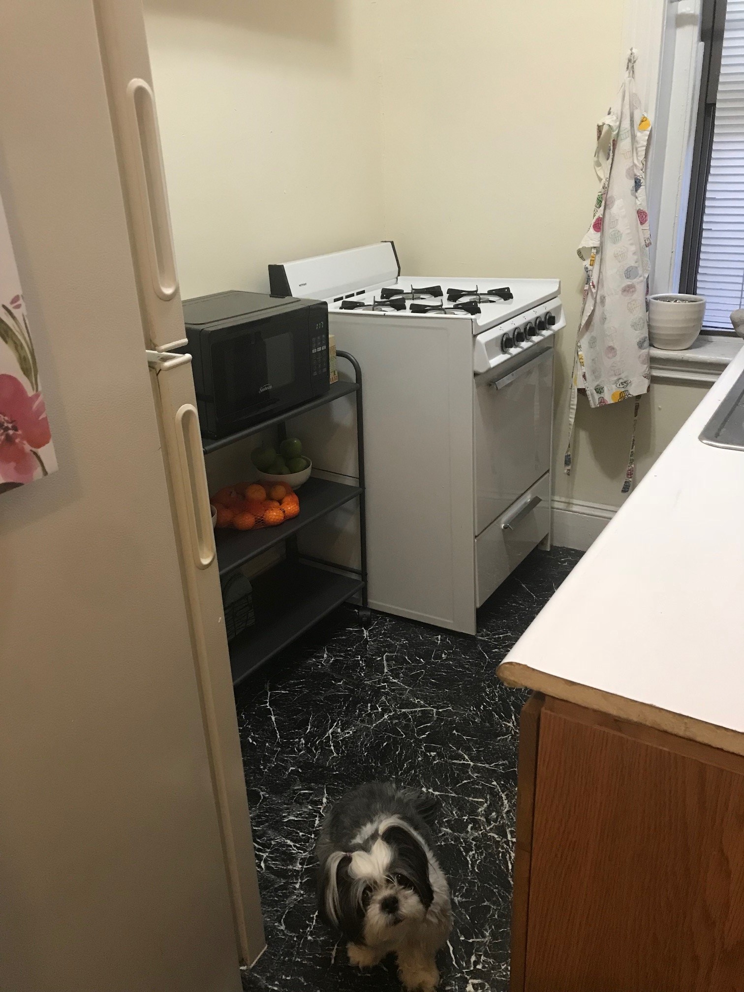 364 Riverway, Mission Hill