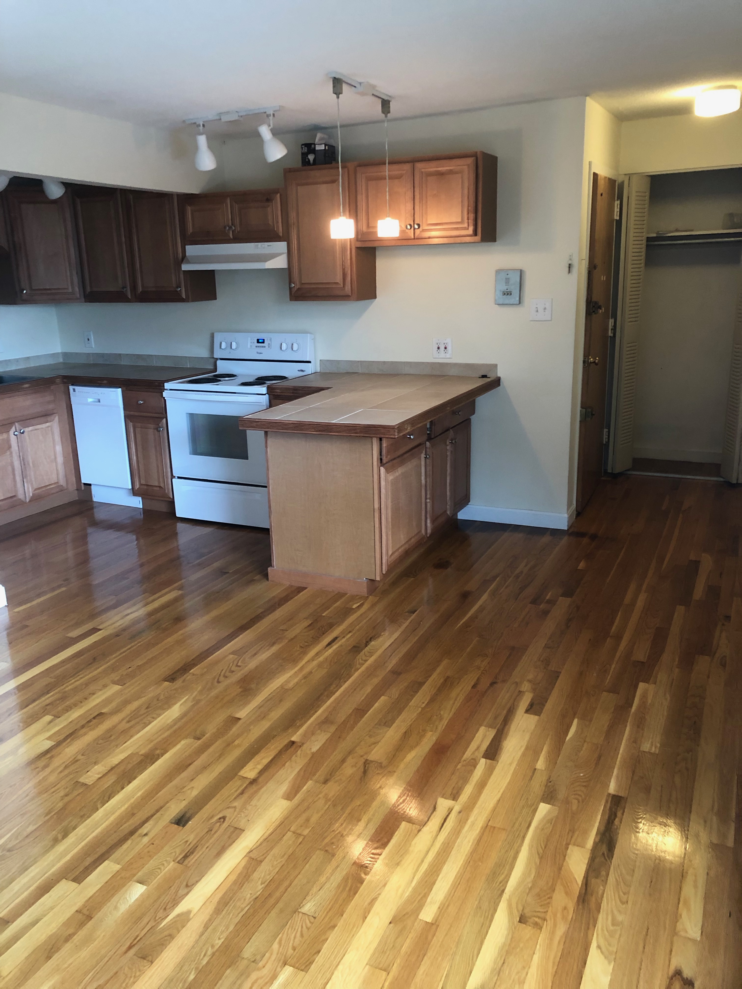 1 bed, 1 bath apartment for rent at 77 Trowbridge St Unit 72, Mid Cambridge — photo 1 of 9