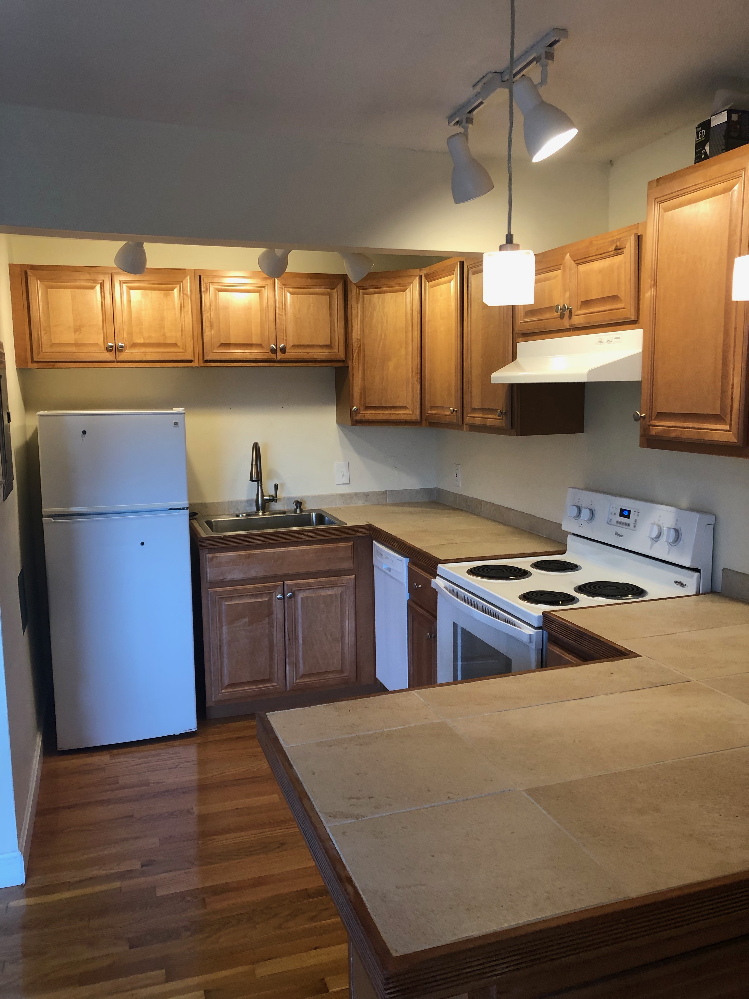 1 bed, 1 bath apartment for rent at 77 Trowbridge St Unit 72, Mid Cambridge — photo 4 of 9