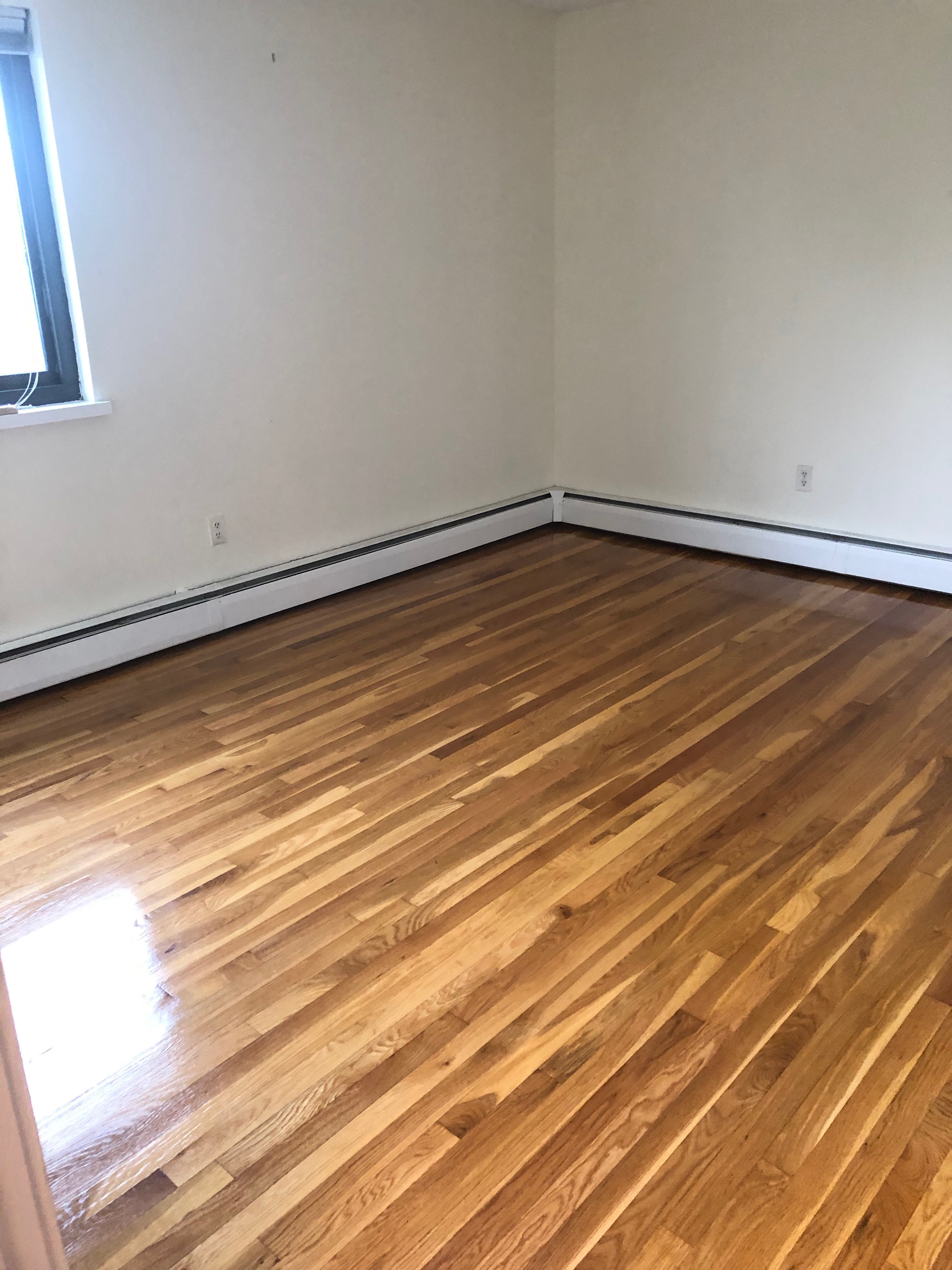 1 bed, 1 bath apartment for rent at 77 Trowbridge St Unit 72, Mid Cambridge — photo 6 of 9