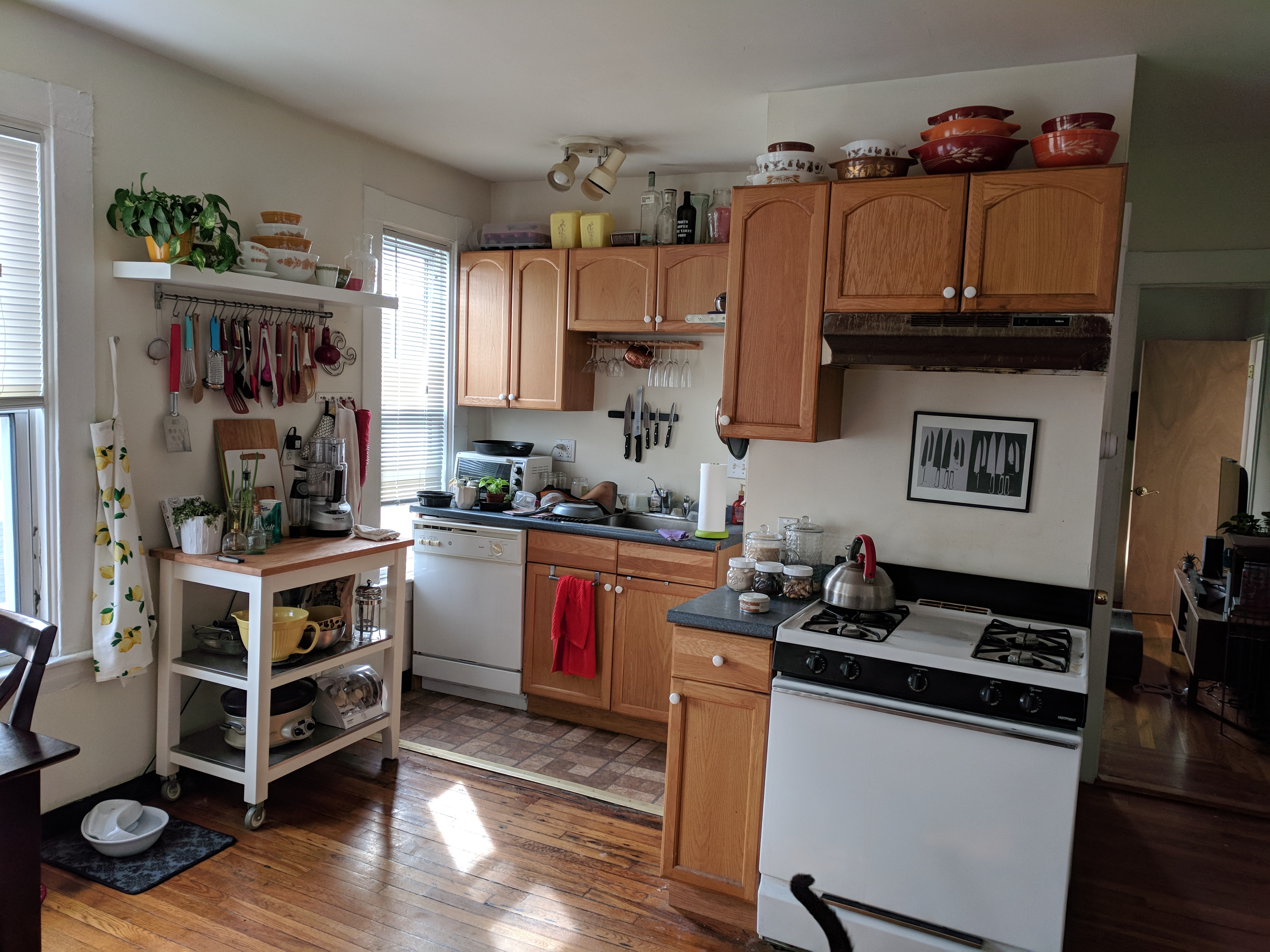 1 Durham St, Spring Hill