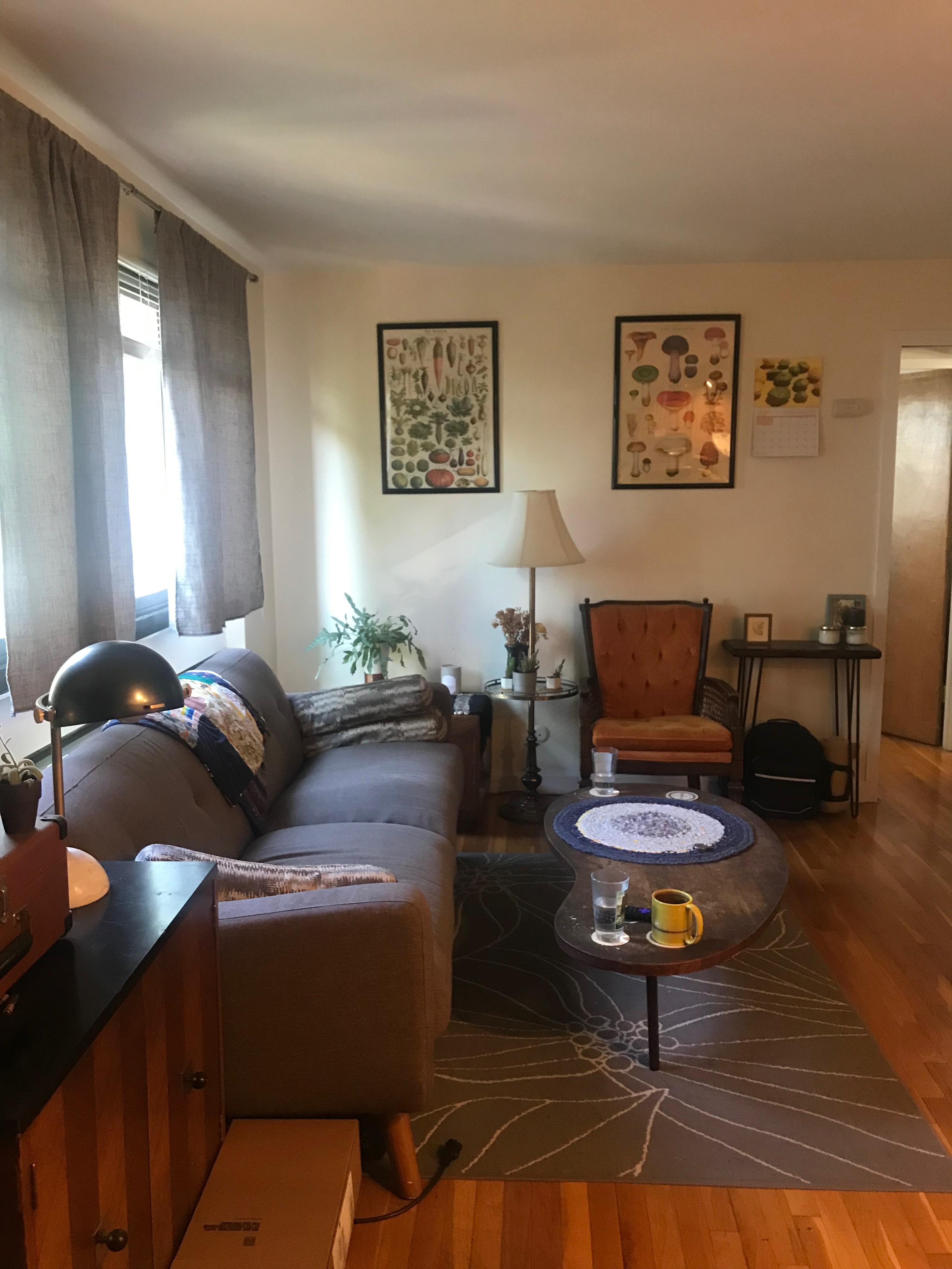 77 Trowbridge St, Mid Cambridge