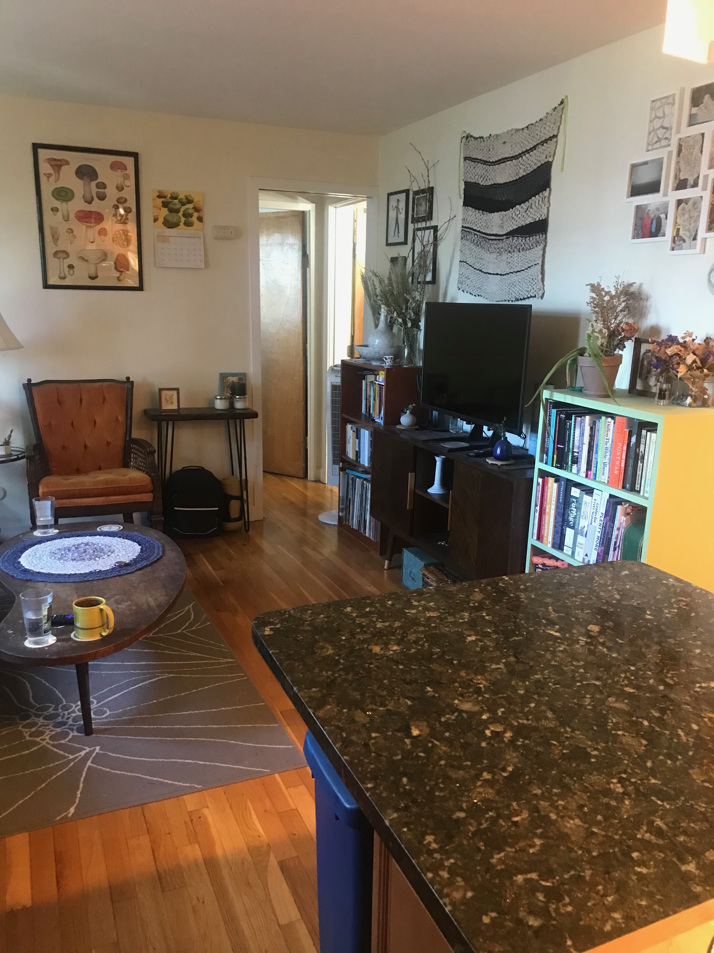 77 Trowbridge St, Mid Cambridge