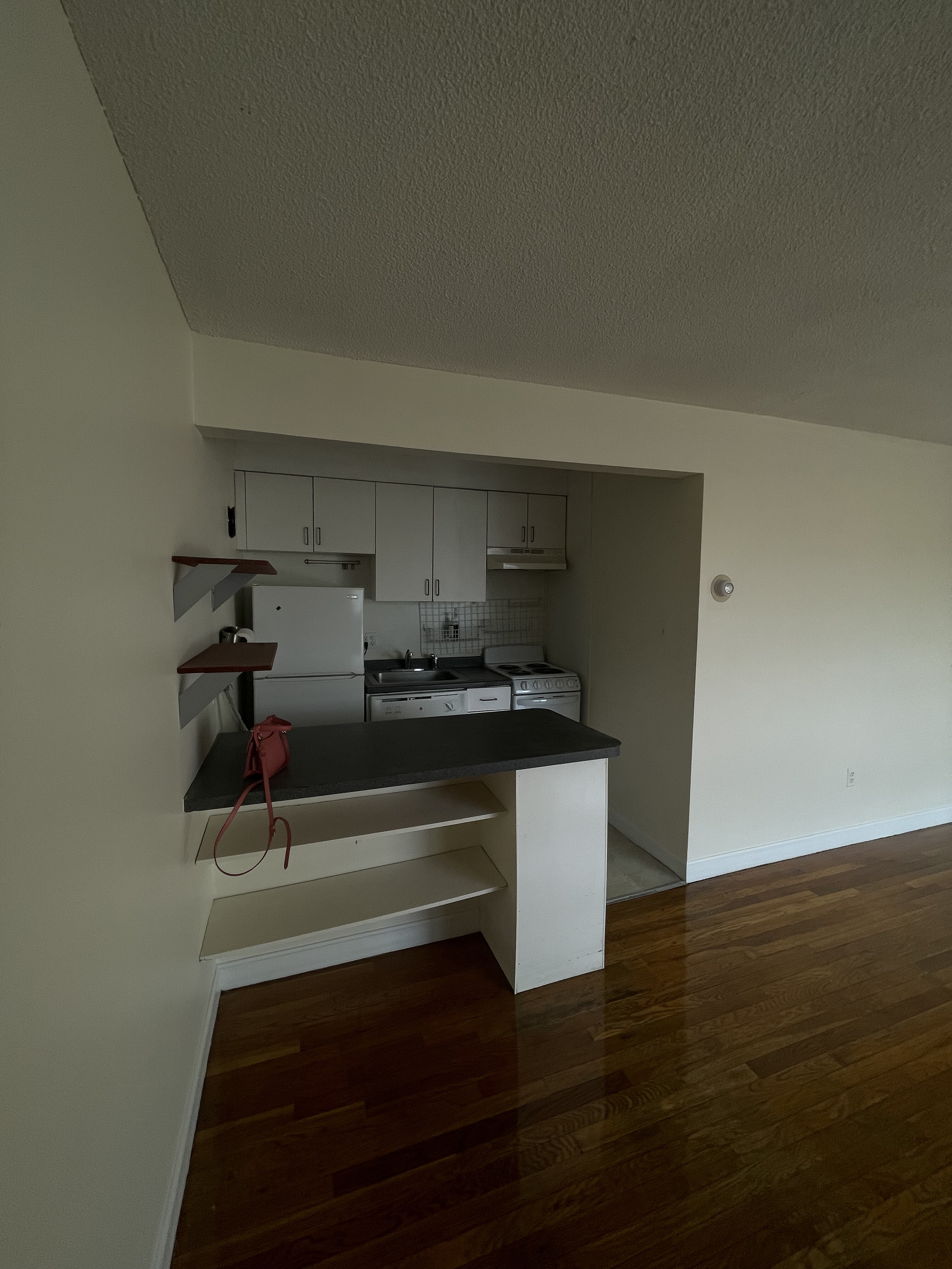 Photos of apartment on Trowbridge St.,Cambridge MA 02138