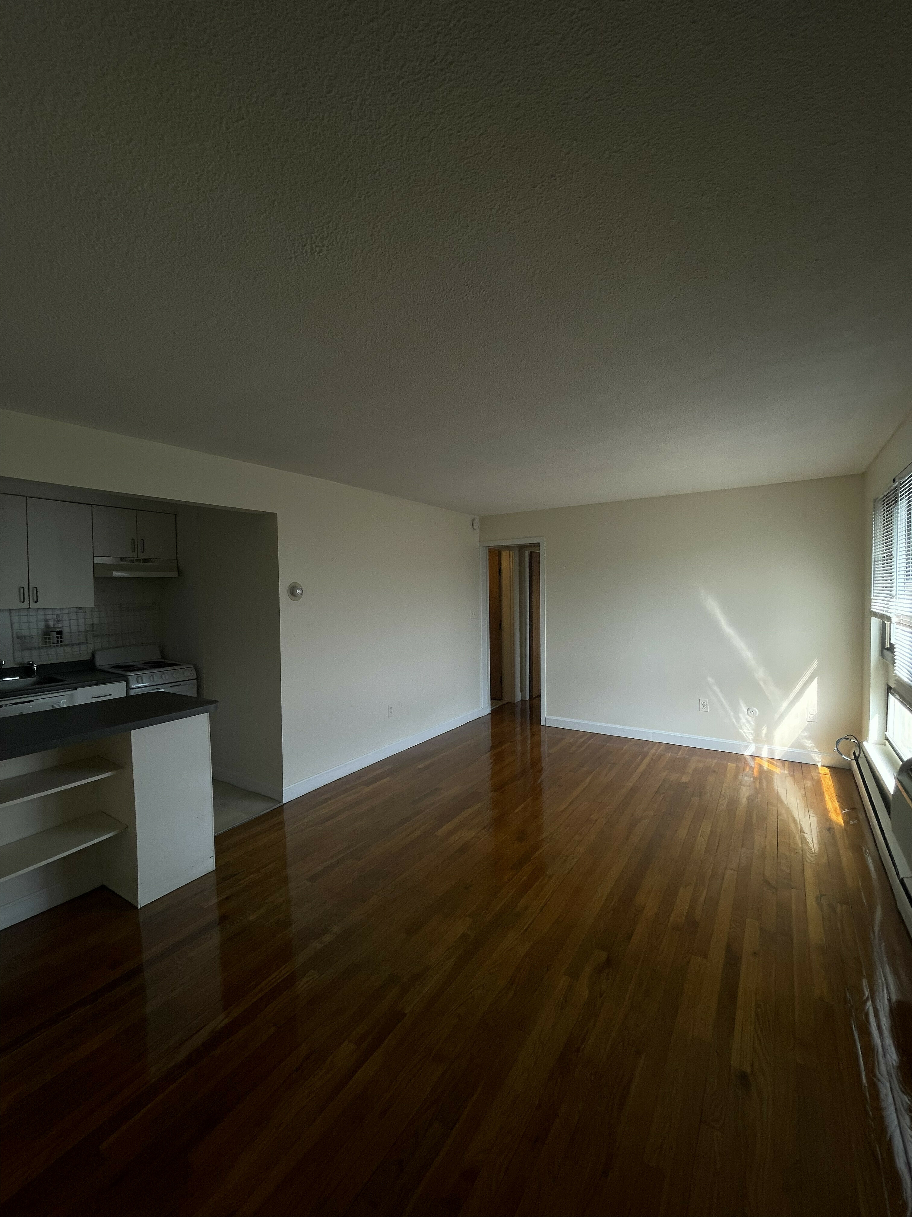 Photos of apartment on Trowbridge St.,Cambridge MA 02138