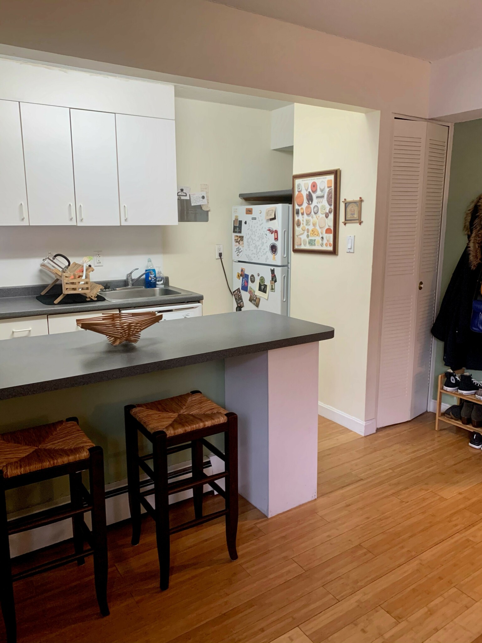 Photos of apartment on Trowbridge,Cambridge MA 02138