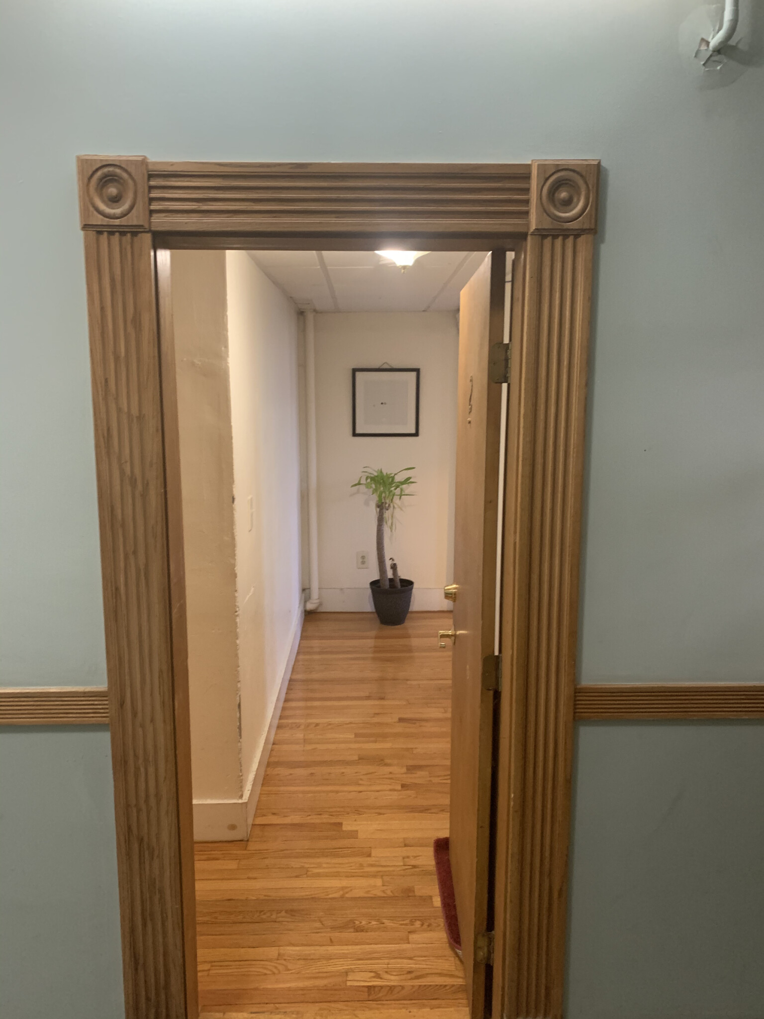 Photos of apartment on Riverway,Boston MA 02115