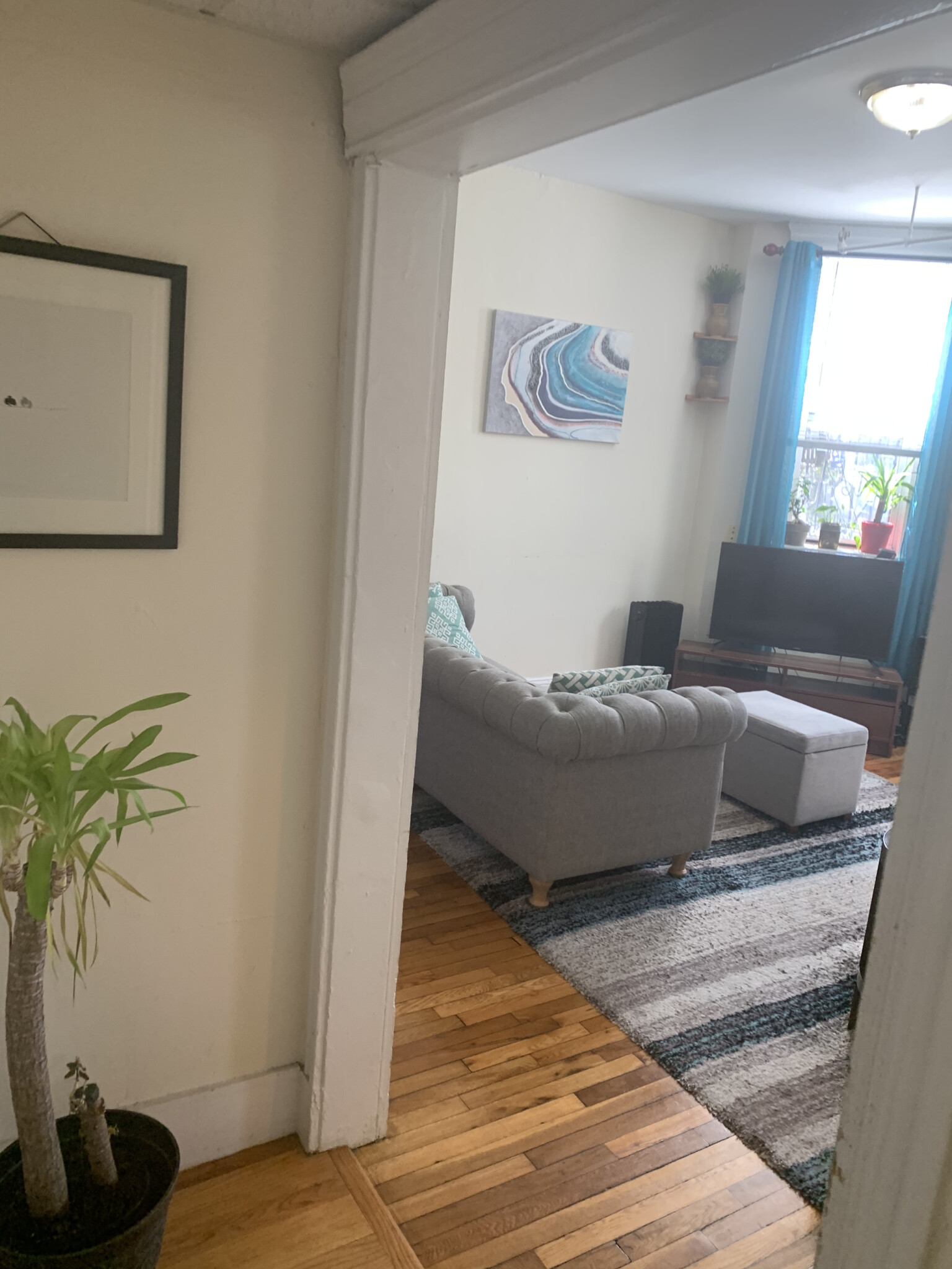 Photos of apartment on Riverway,Boston MA 02115