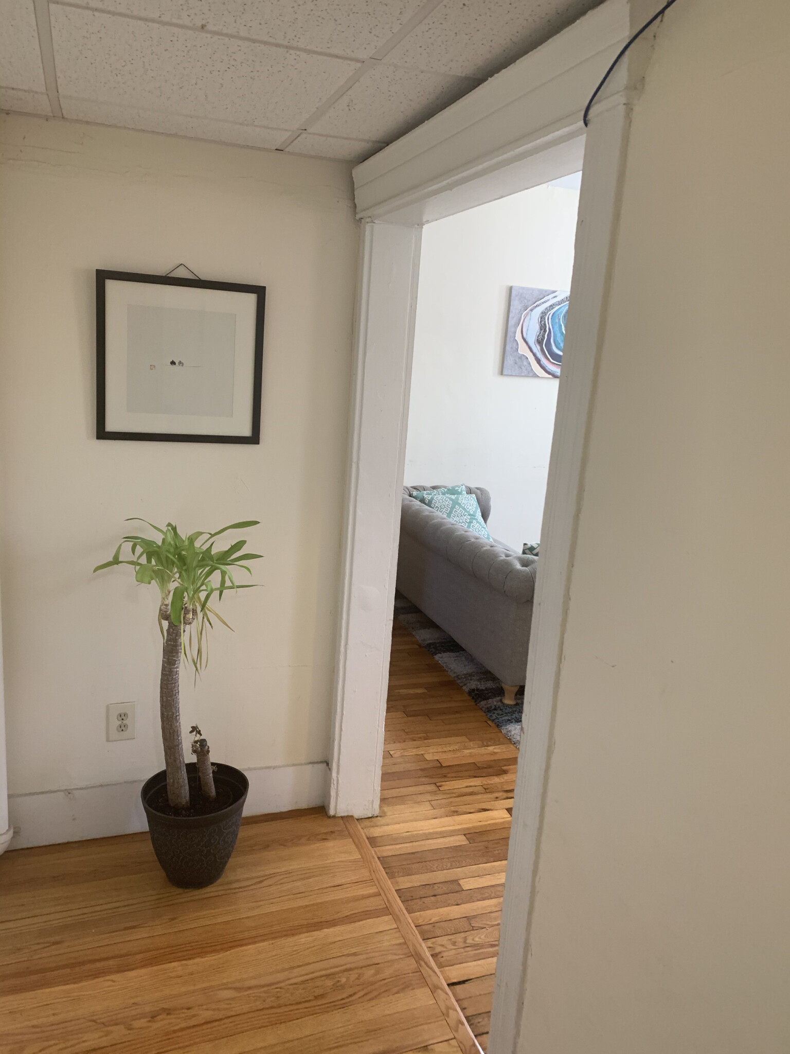 Photos of apartment on Riverway,Boston MA 02115