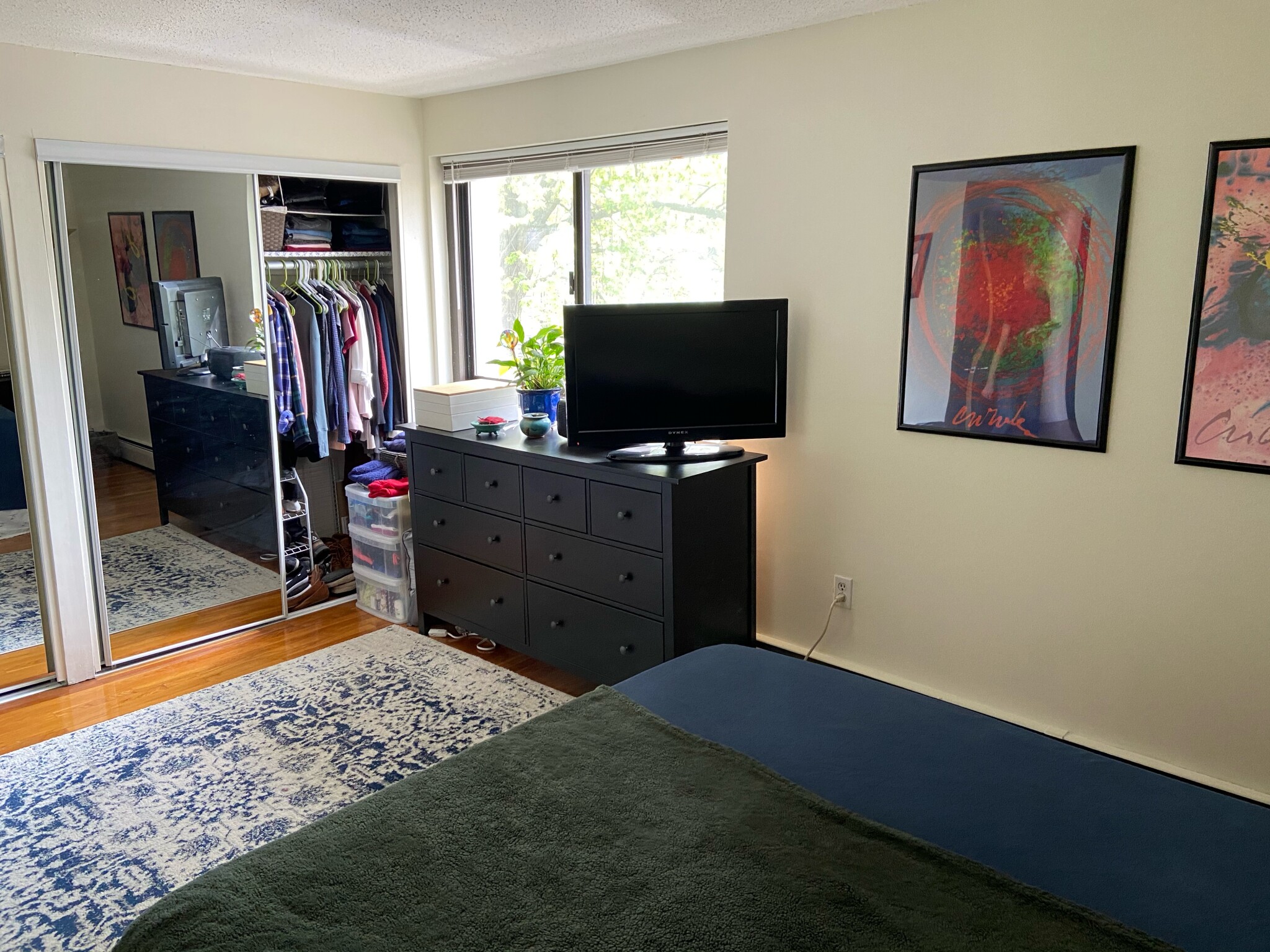 Photos of apartment on Trowbridge,Cambridge MA 02138