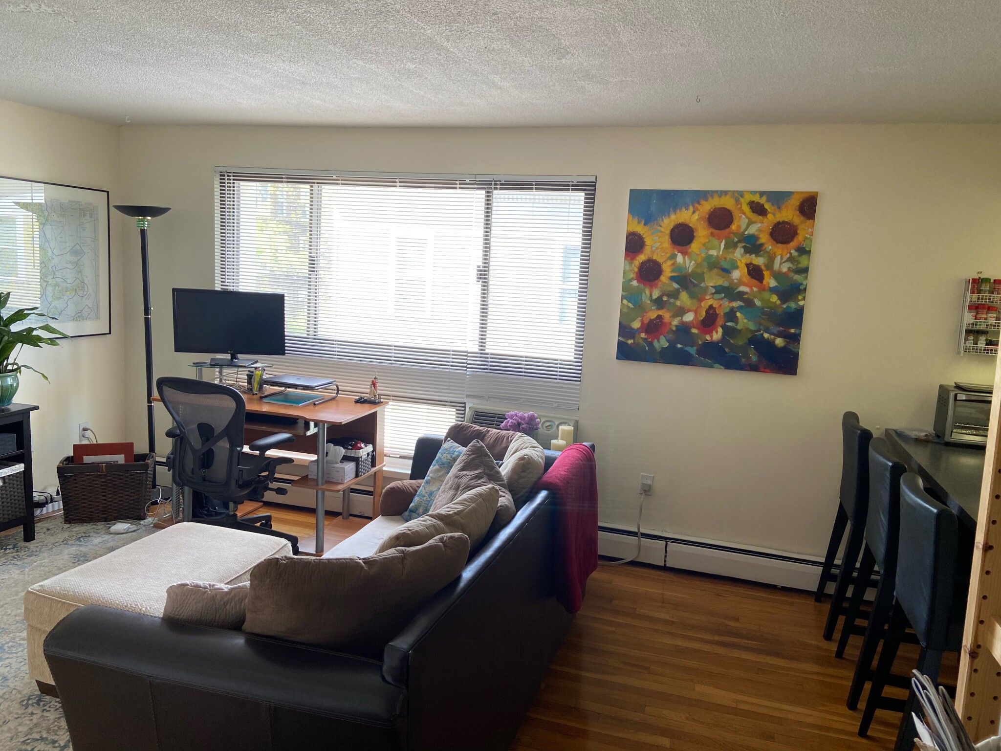Photos of apartment on Trowbridge,Cambridge MA 02138