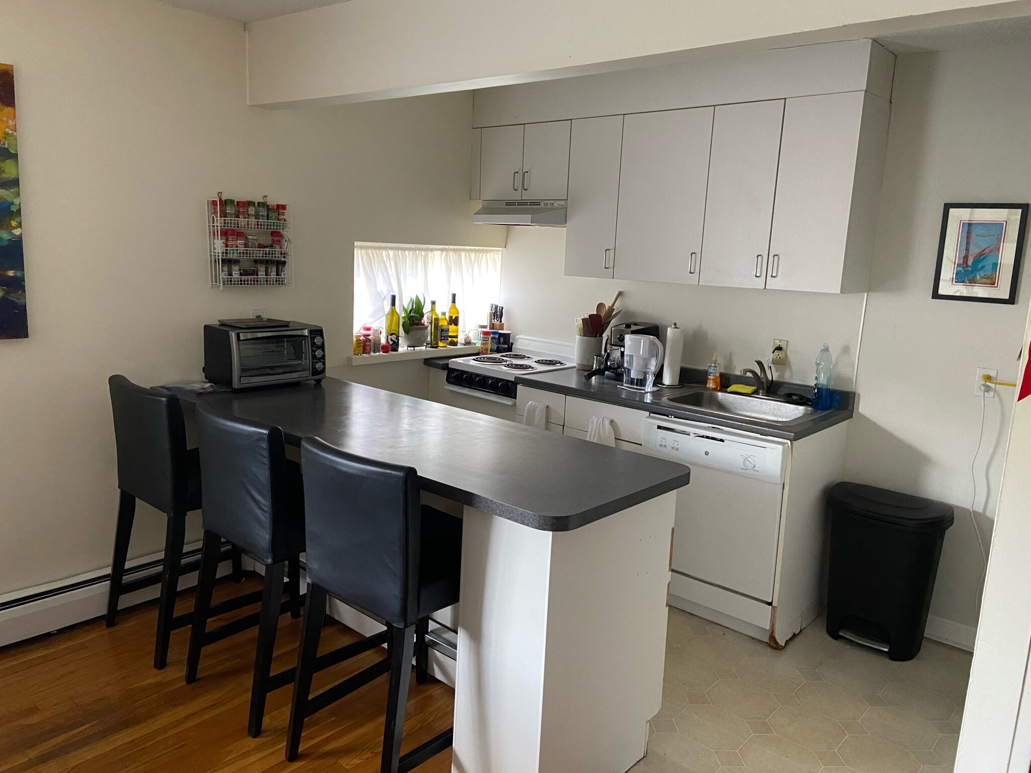 Photos of apartment on Trowbridge,Cambridge MA 02138