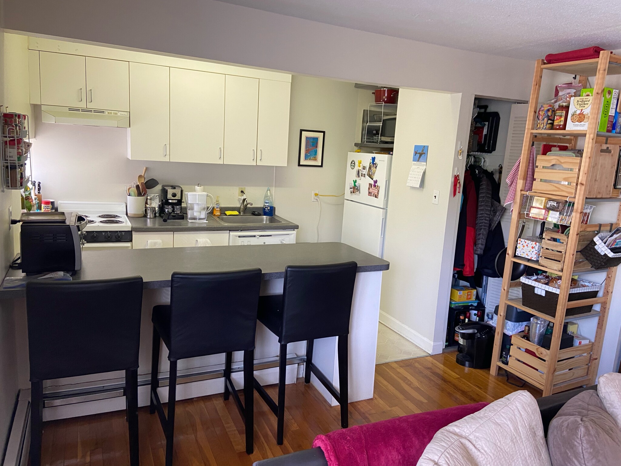 Photos of apartment on Trowbridge,Cambridge MA 02138
