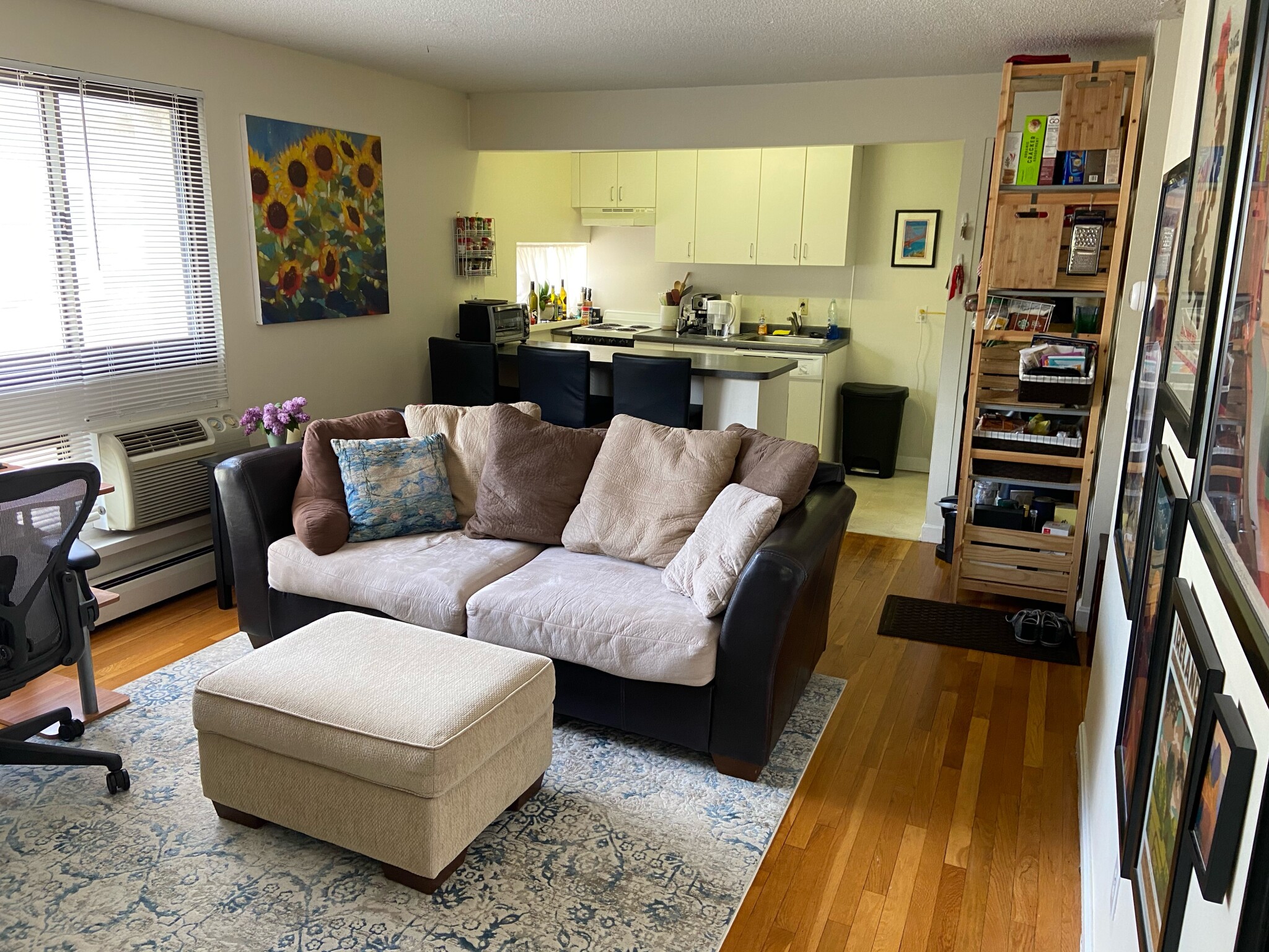 Photos of apartment on Oxford St.,Cambridge MA 02138