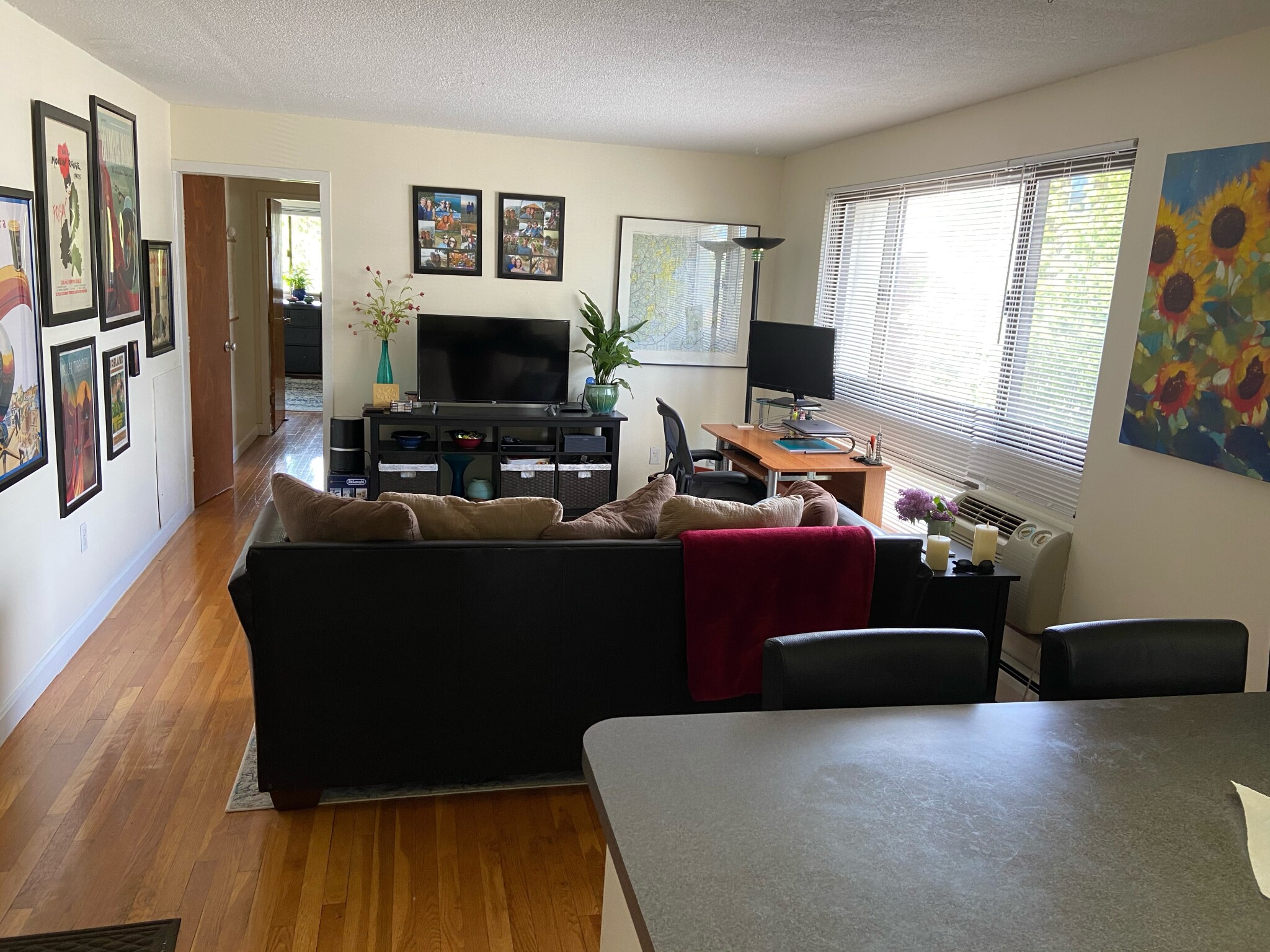 Photos of apartment on Trowbridge,Cambridge MA 02138