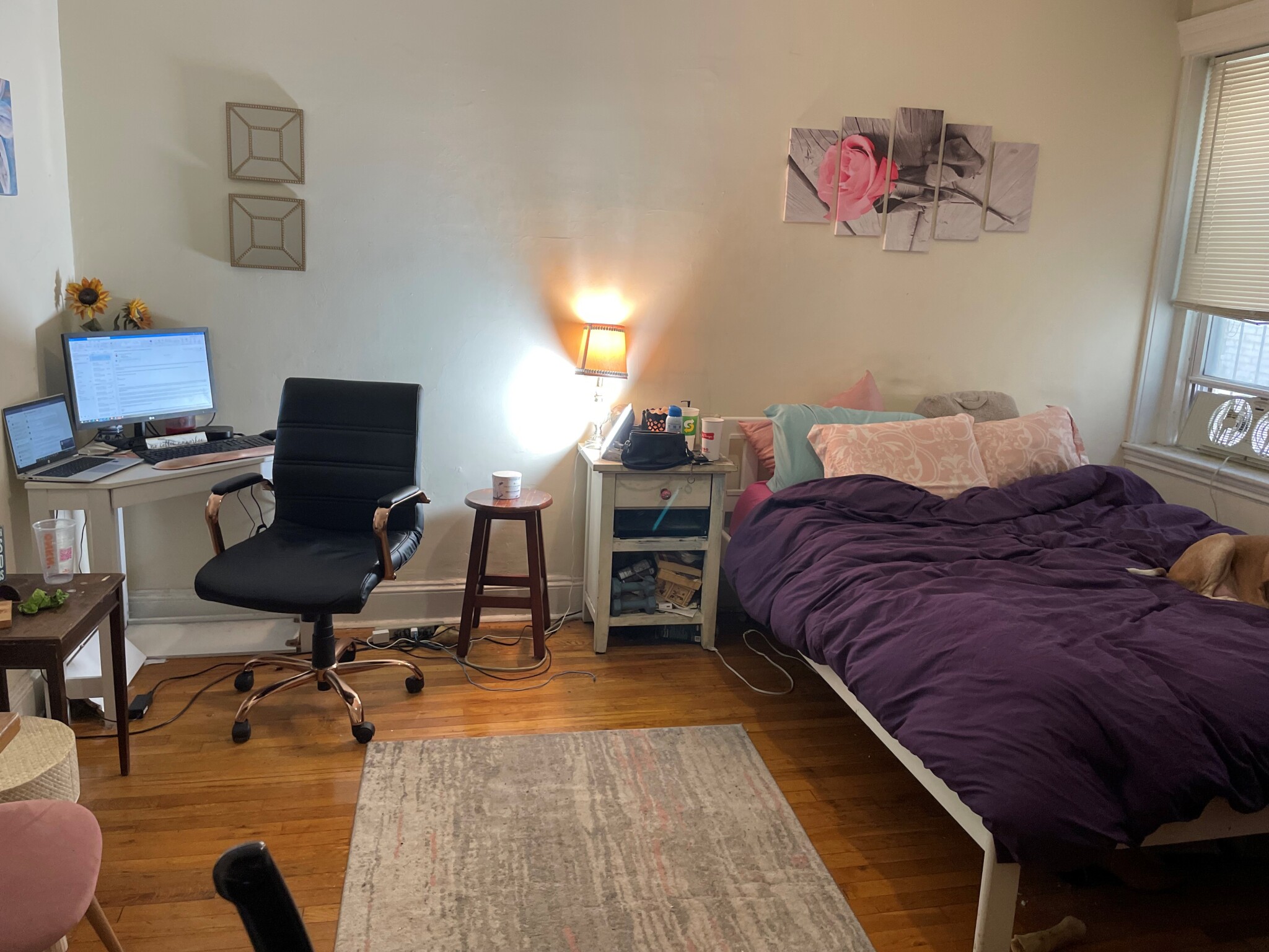 Photos of apartment on Riverway,Boston MA 02115