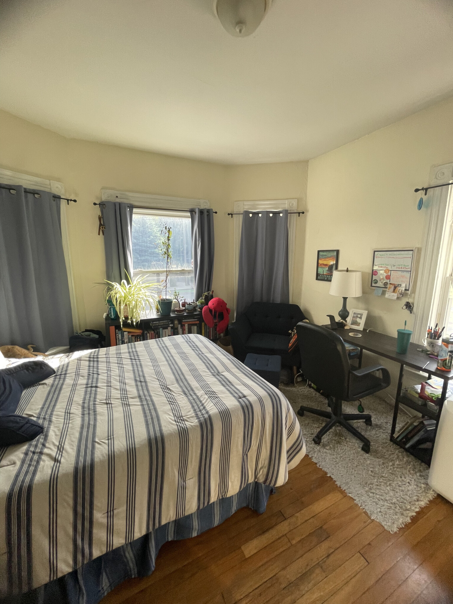 187 Beacon St, Spring Hill