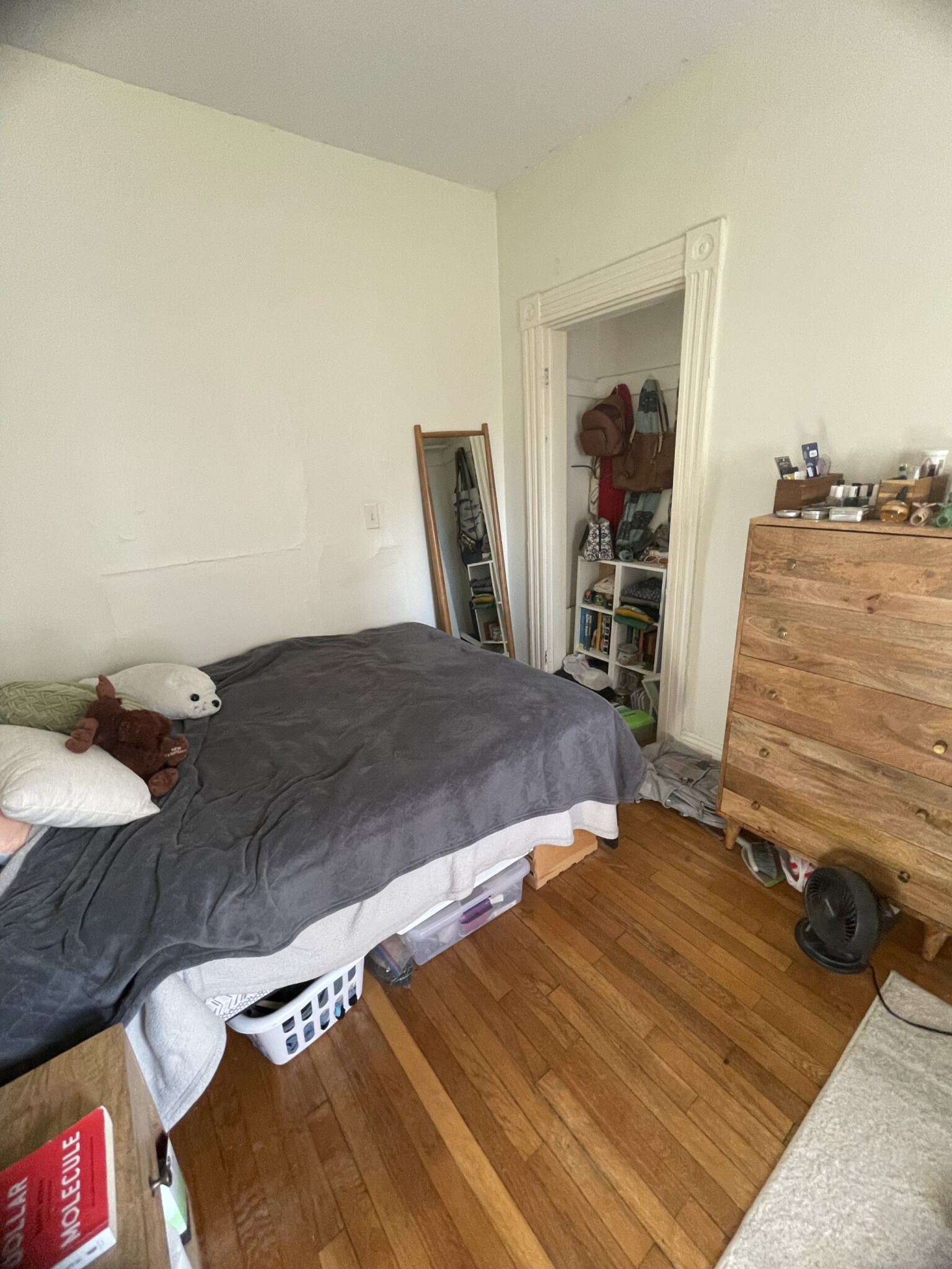 187 Beacon St, Spring Hill