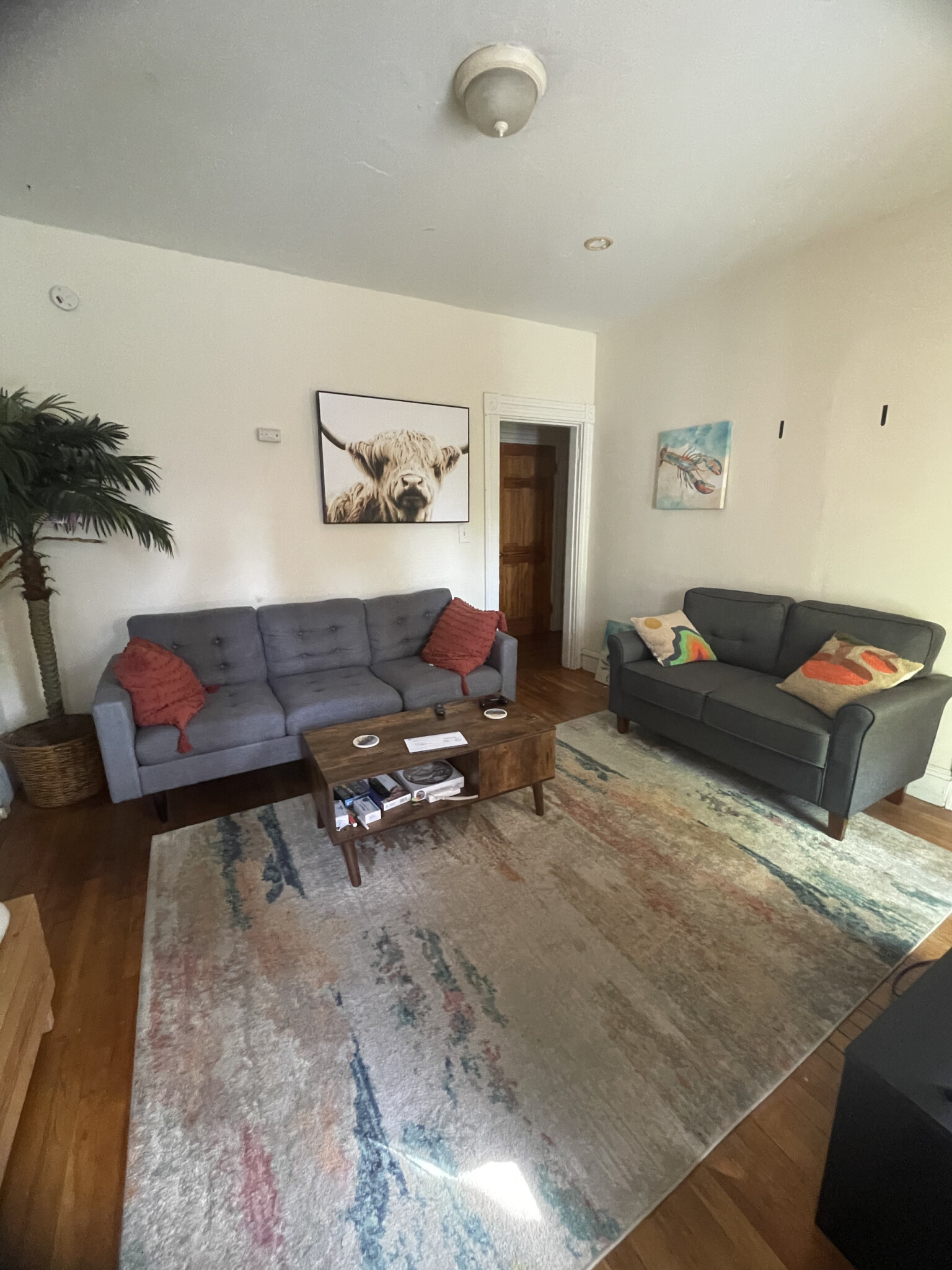 187 Beacon St, Spring Hill